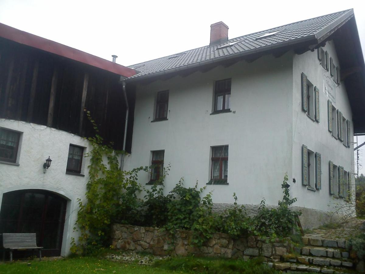 Photo 44