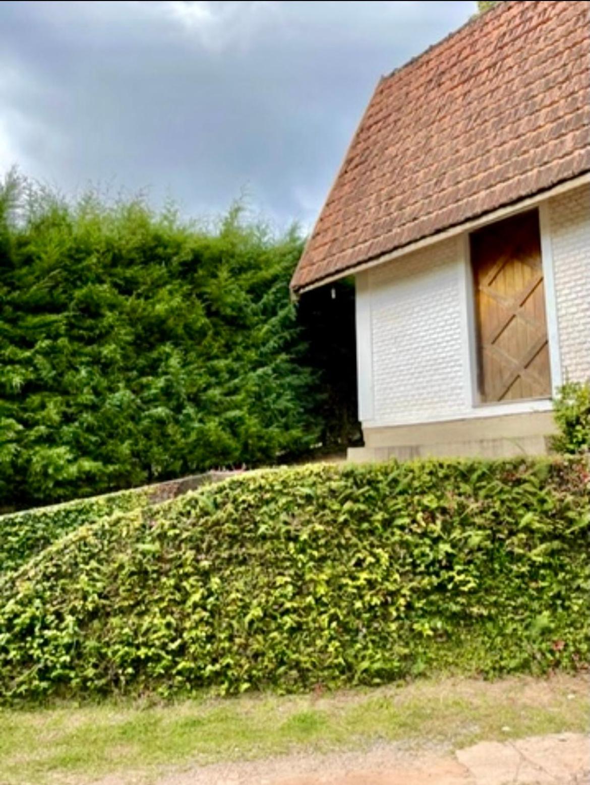 Casa TragaLuz