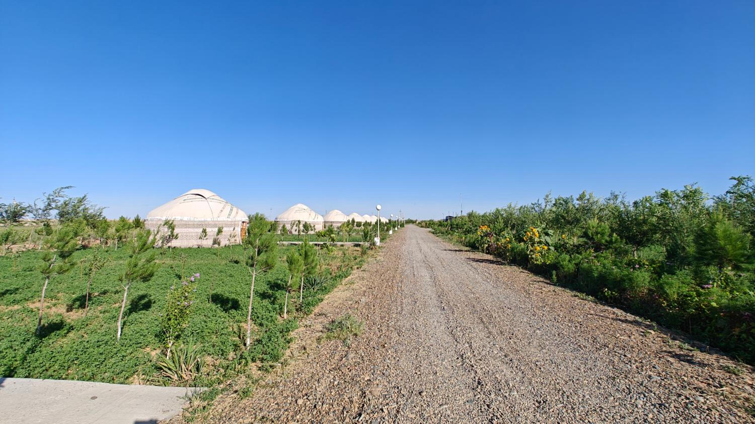 Nomad Island Bukhara