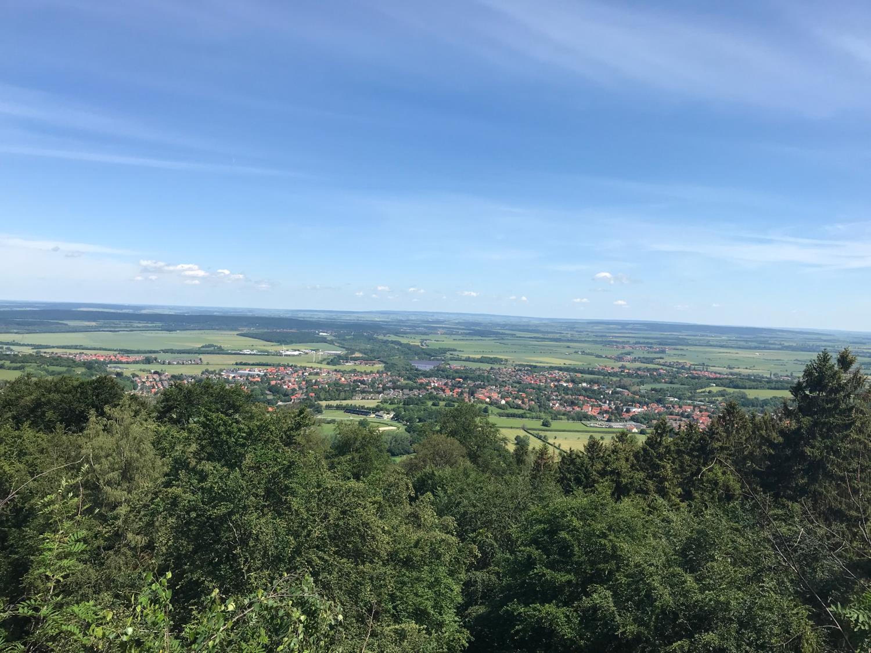 Am Wäldchen