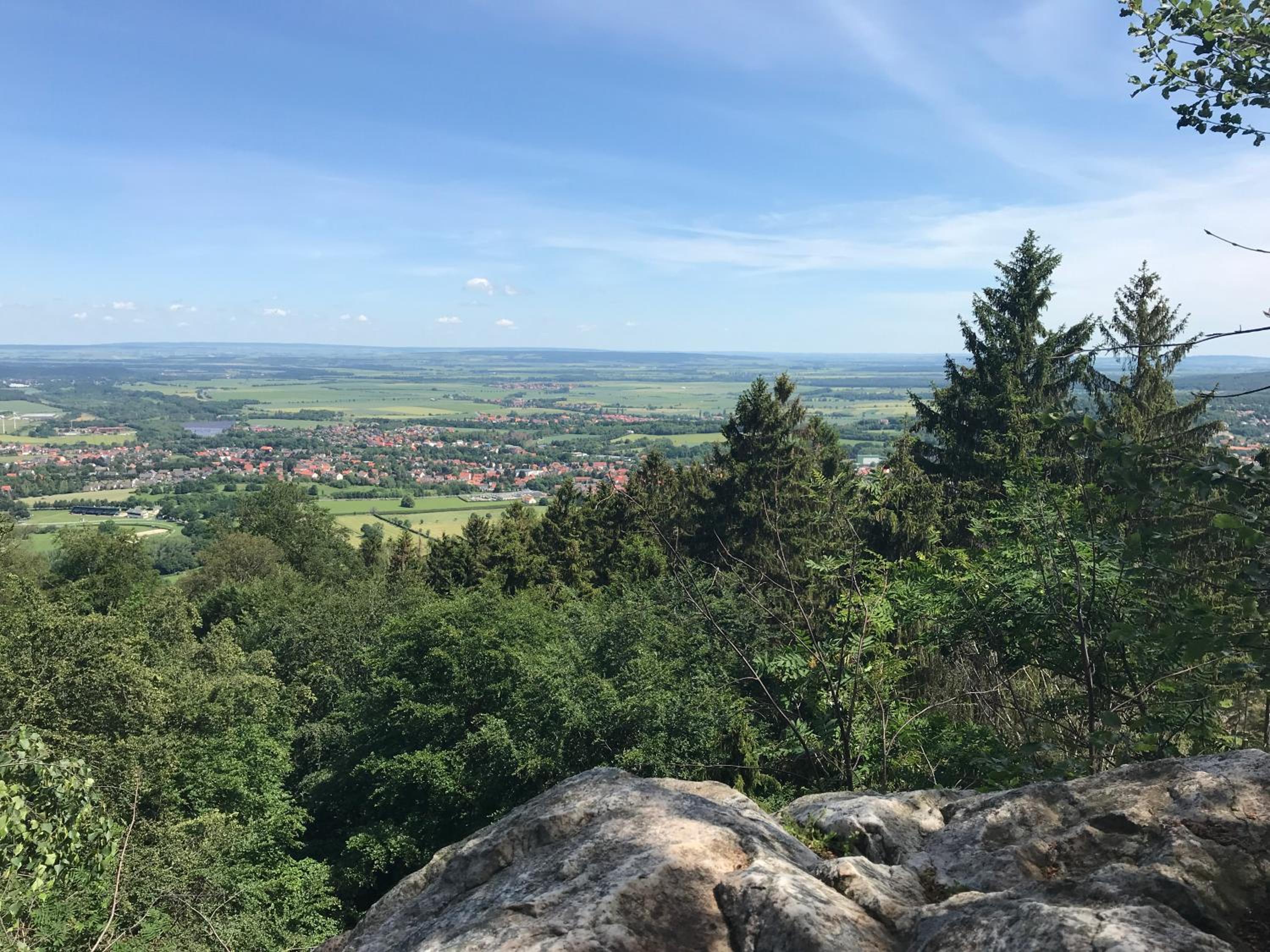 Am Wäldchen