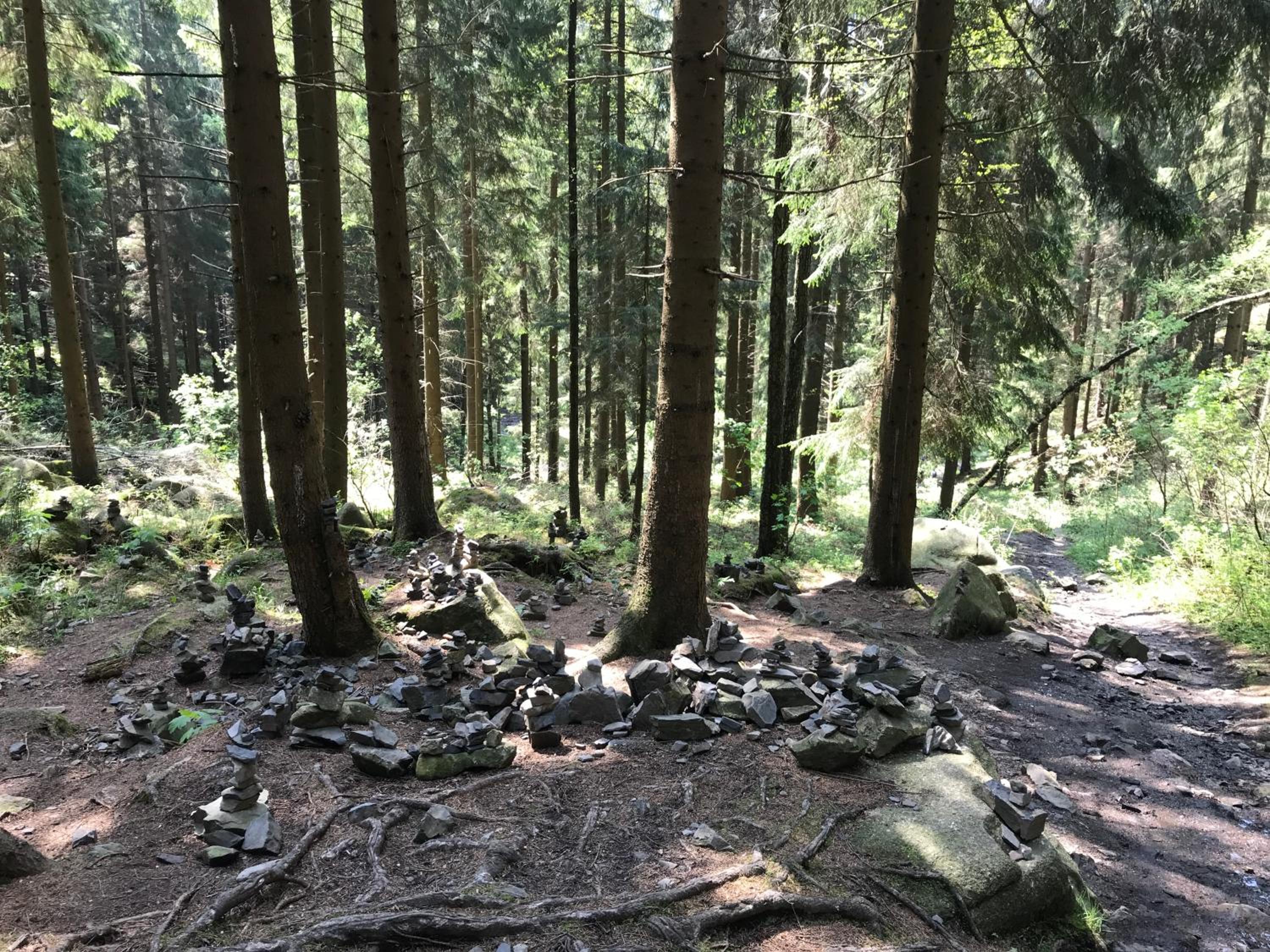Am Wäldchen