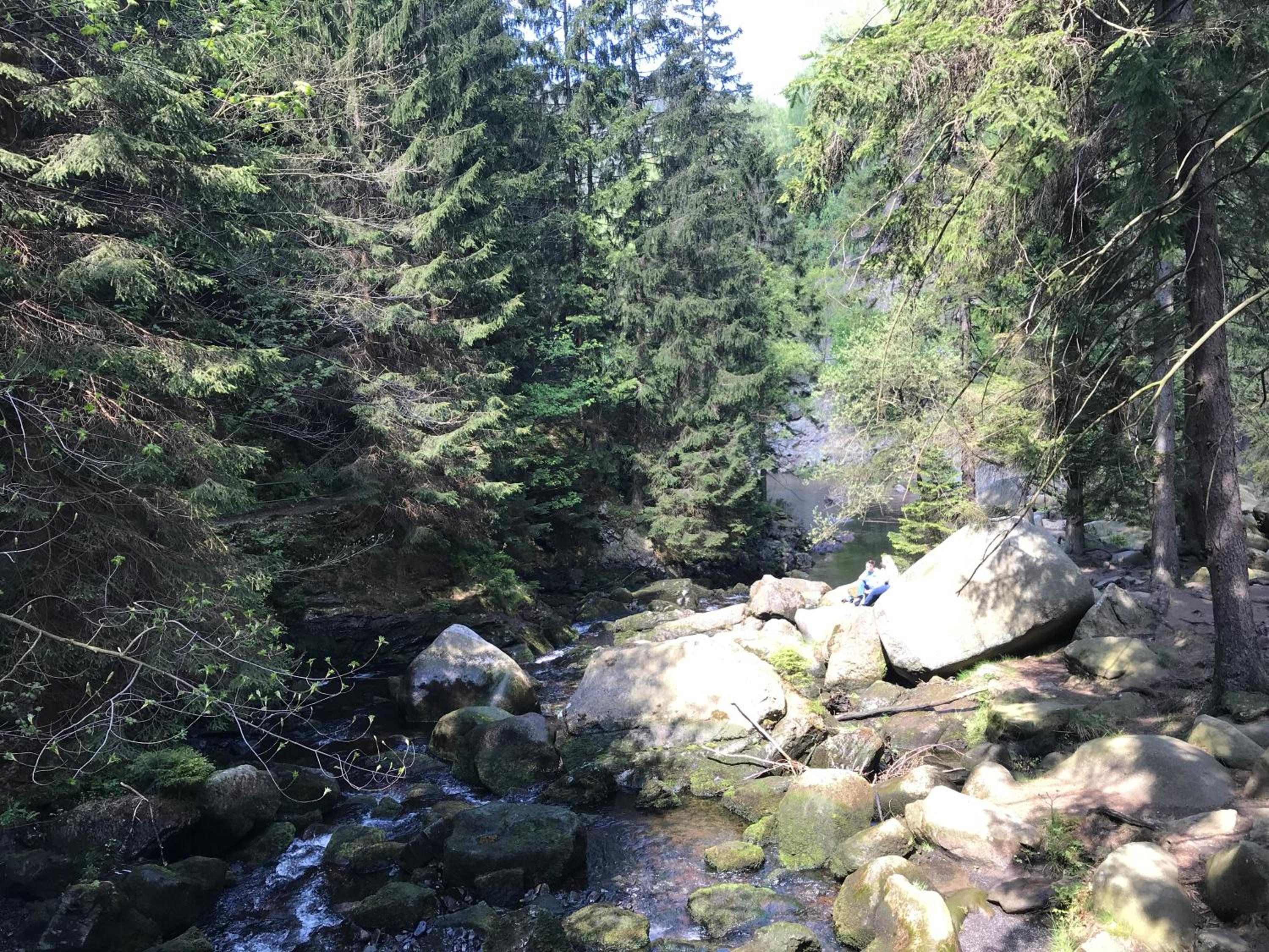Am Wäldchen