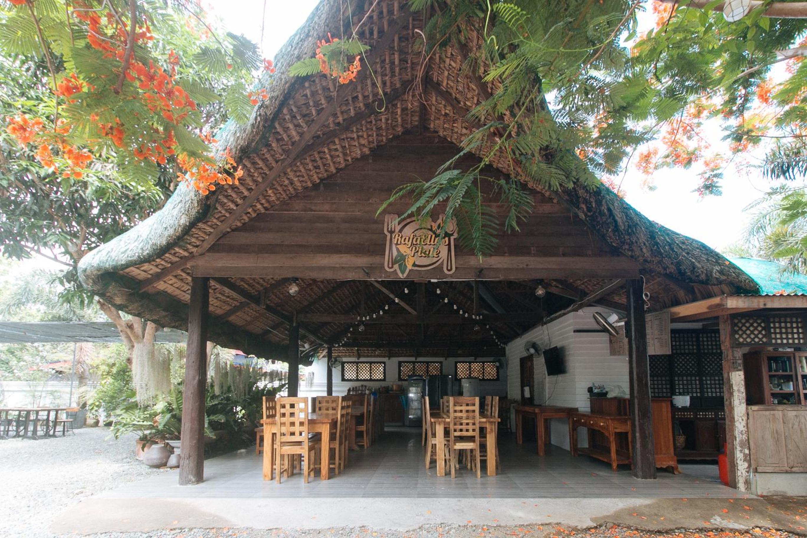 Photo 41