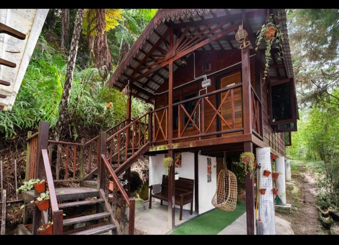 Hillside cottage reflesia room