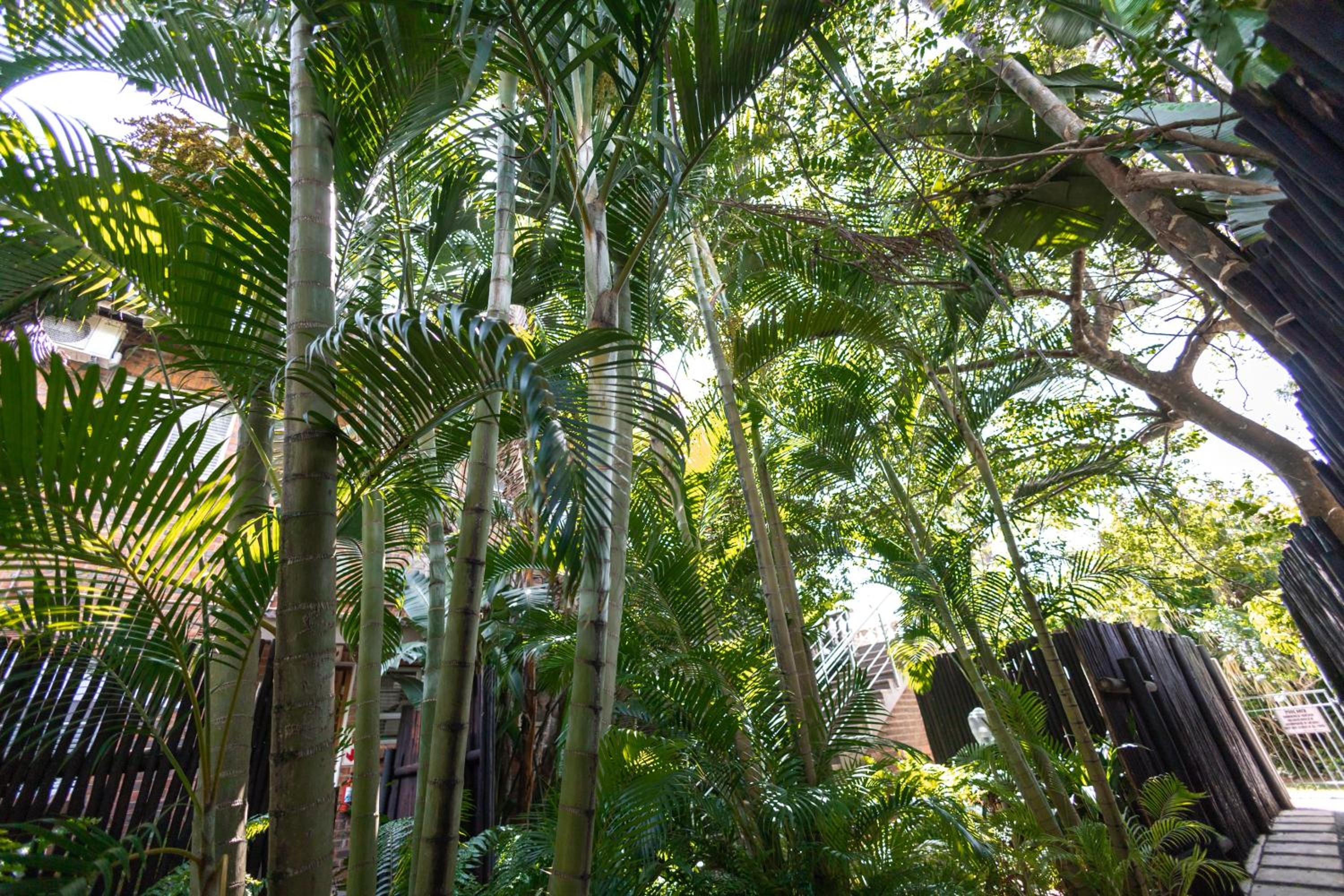 Little Eden Apartments St Lucia