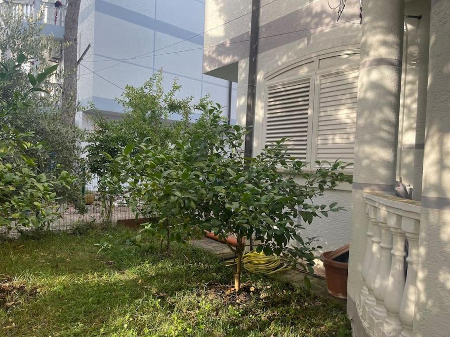Apartament near beach, with garden