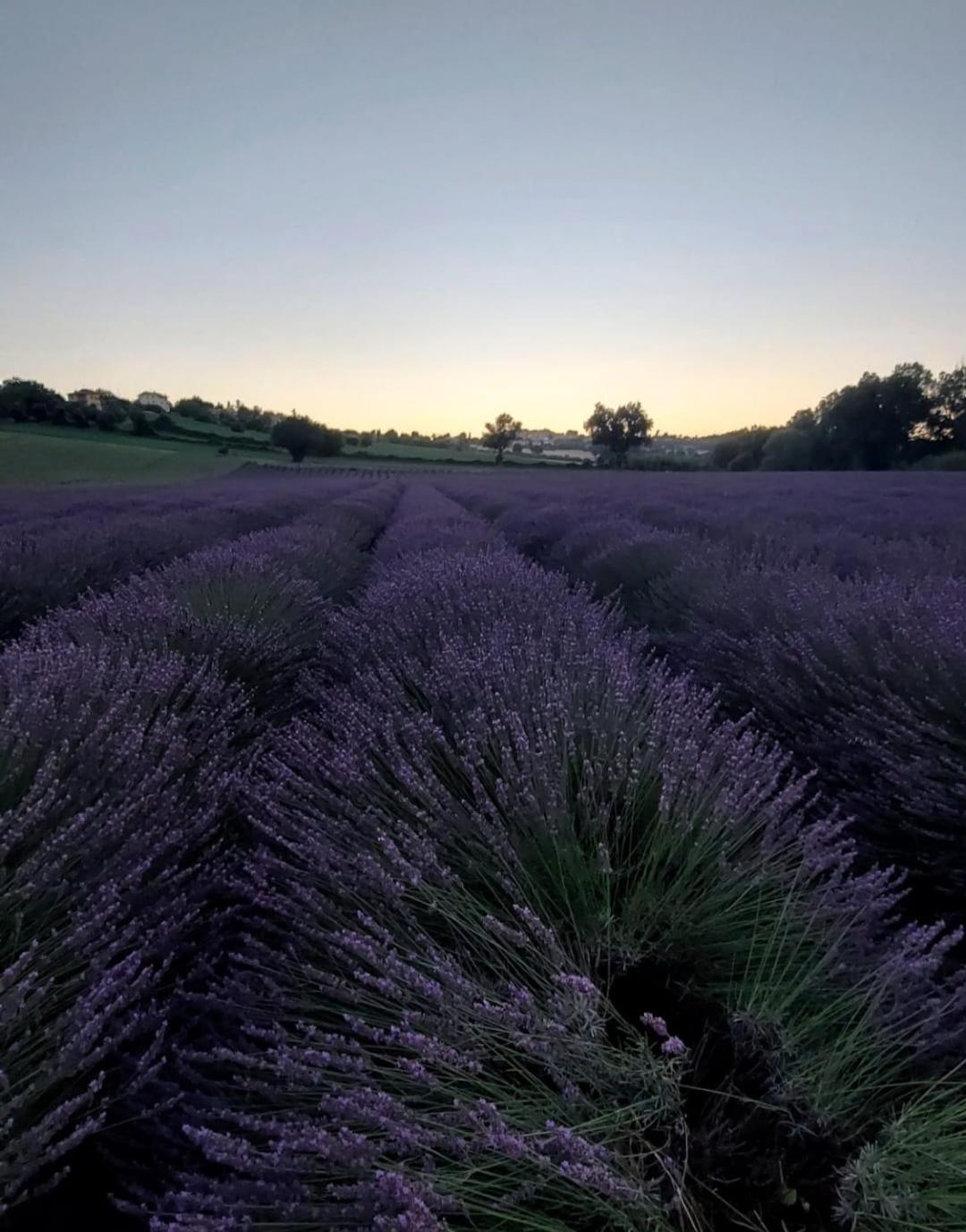 Alla Vecchia Cascina