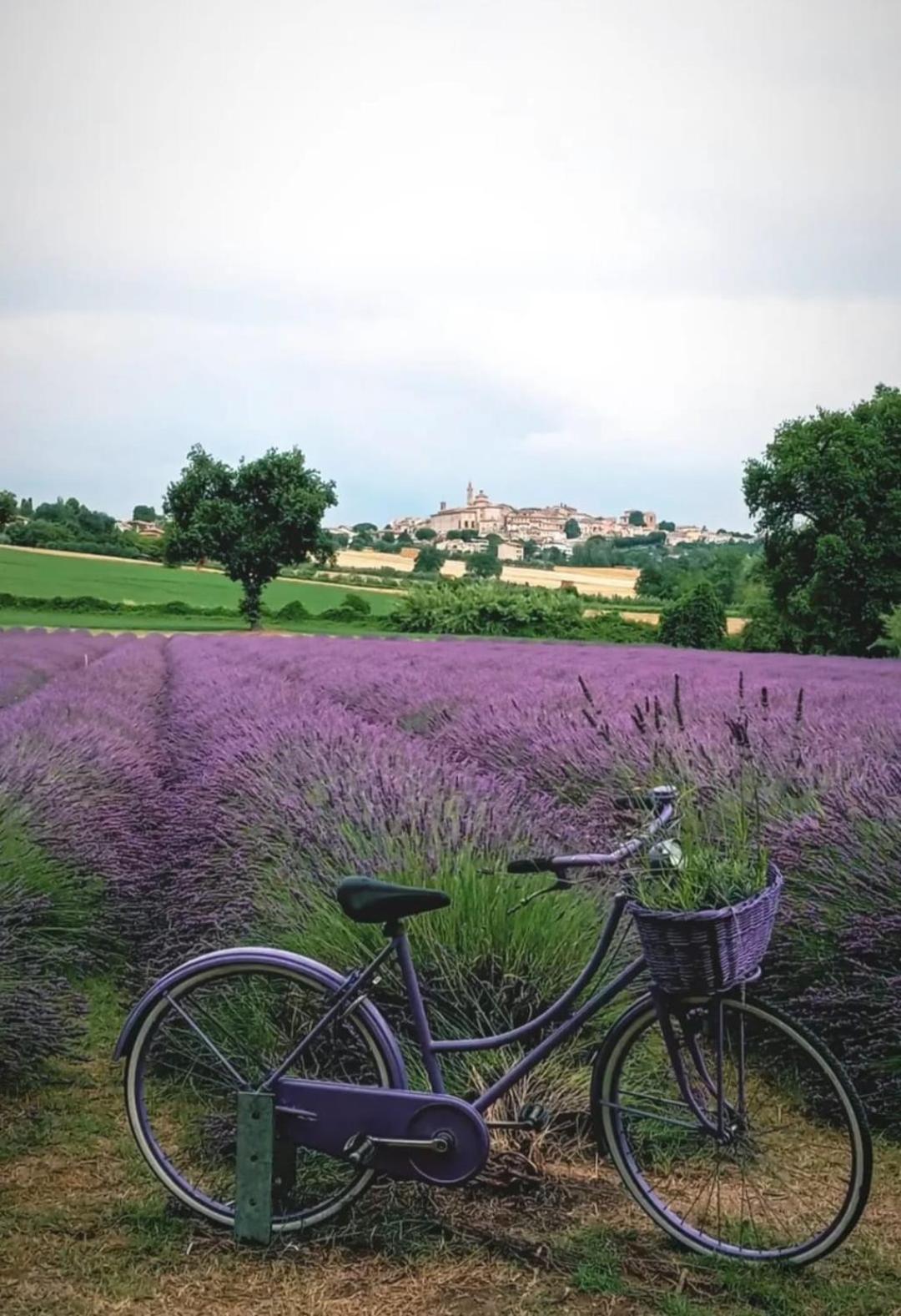 Alla Vecchia Cascina
