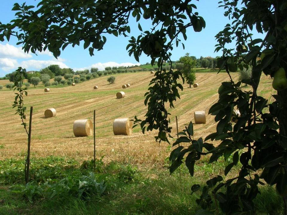 Alla Vecchia Cascina