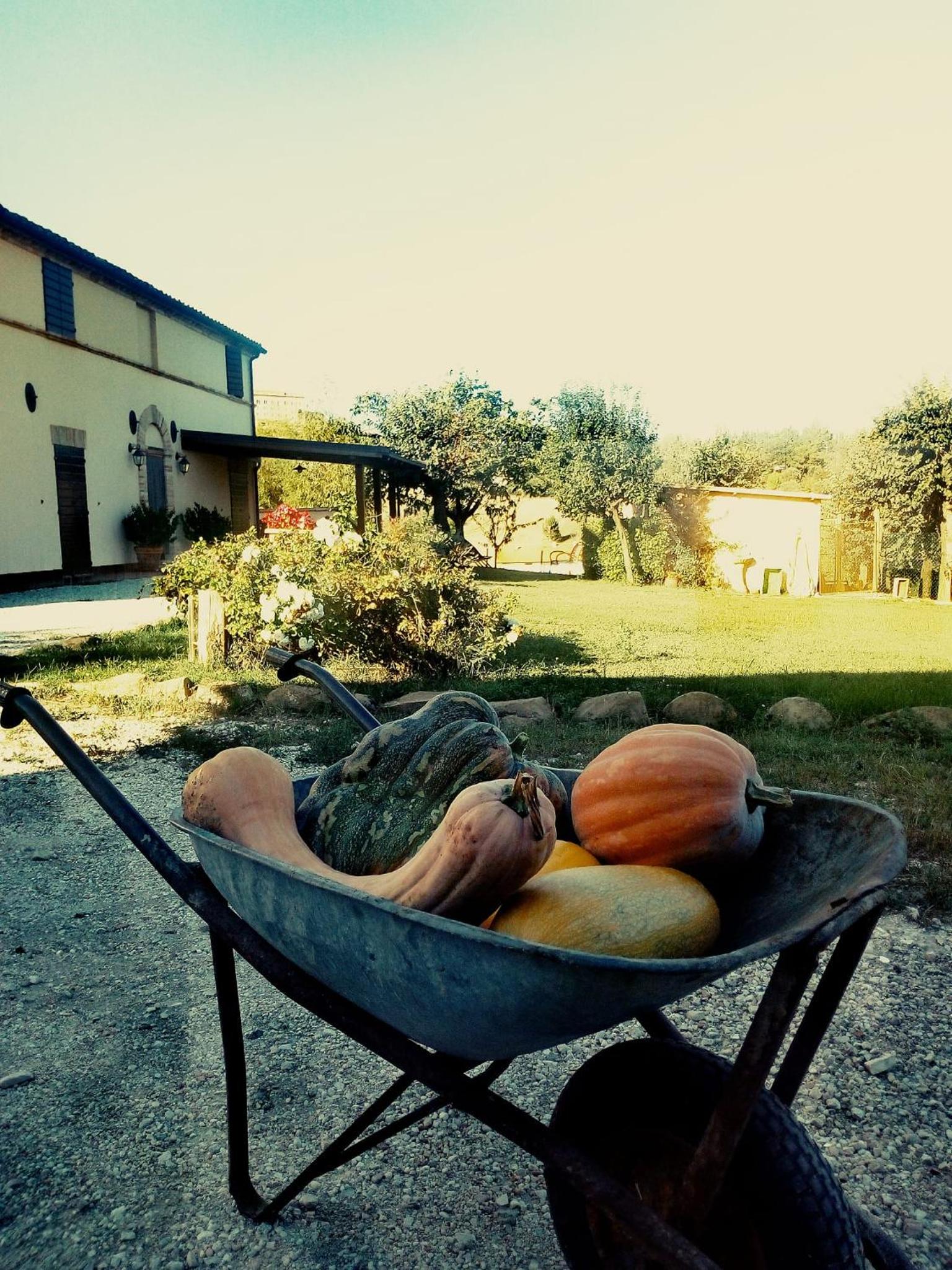 Alla Vecchia Cascina