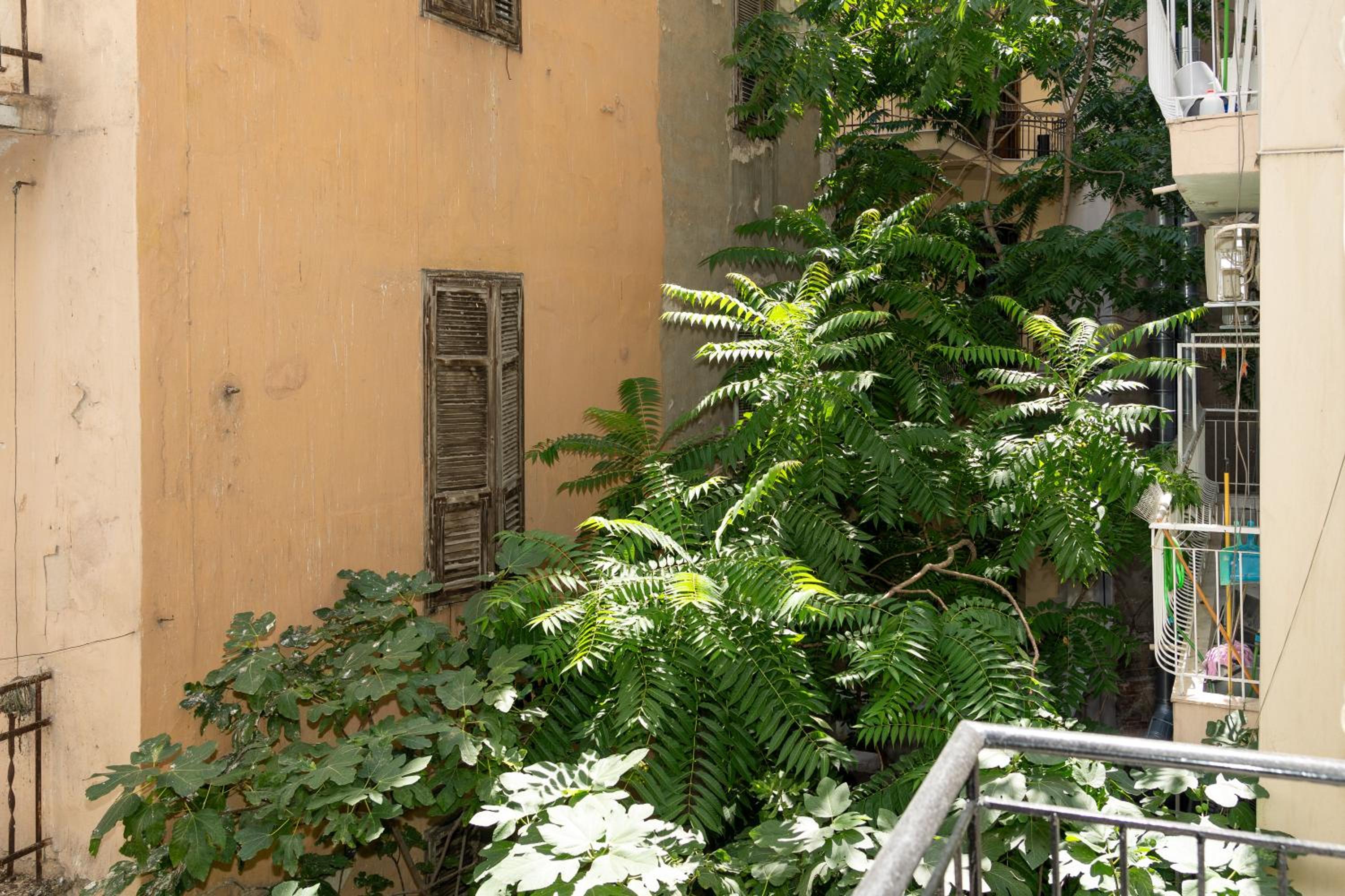 Photo 47