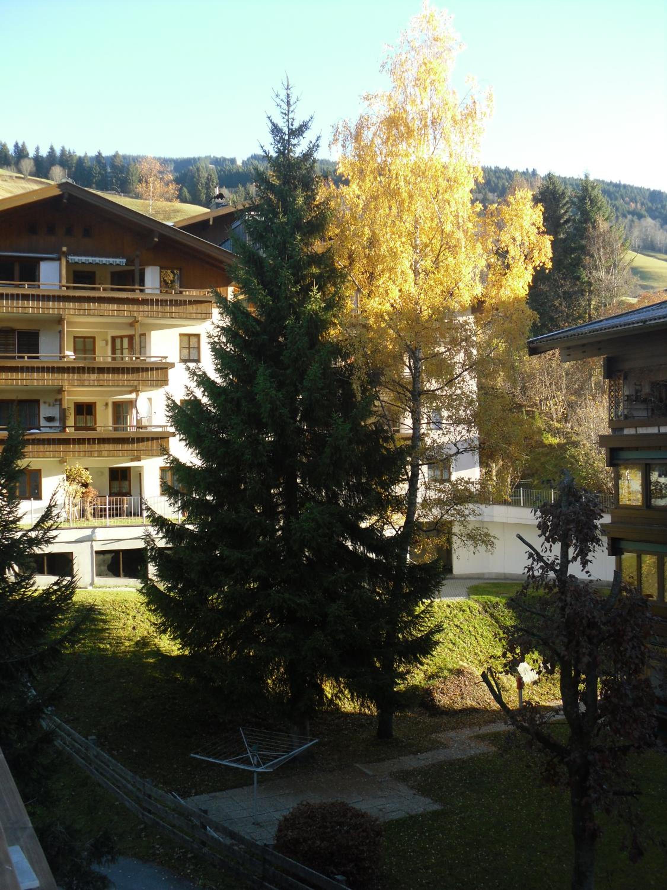 Bear Hutte Saalbach near Billa