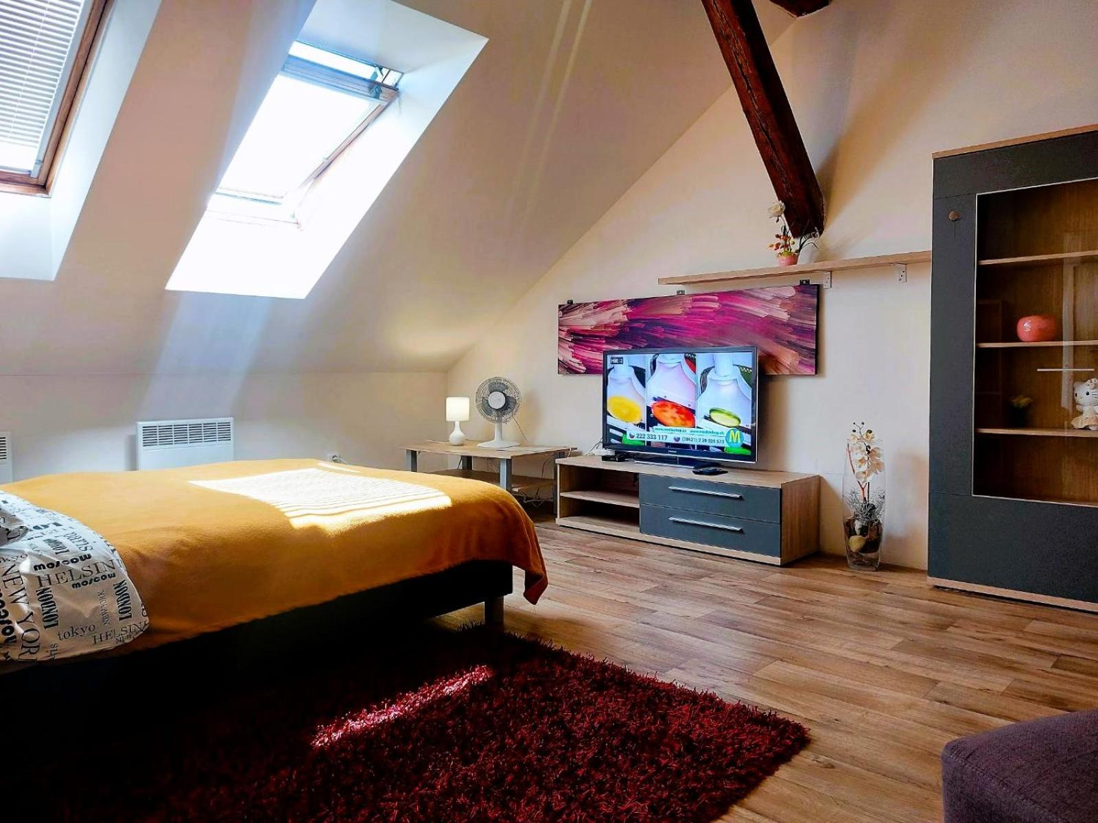 Spacious Historic Attic Loft in City Center 62 m