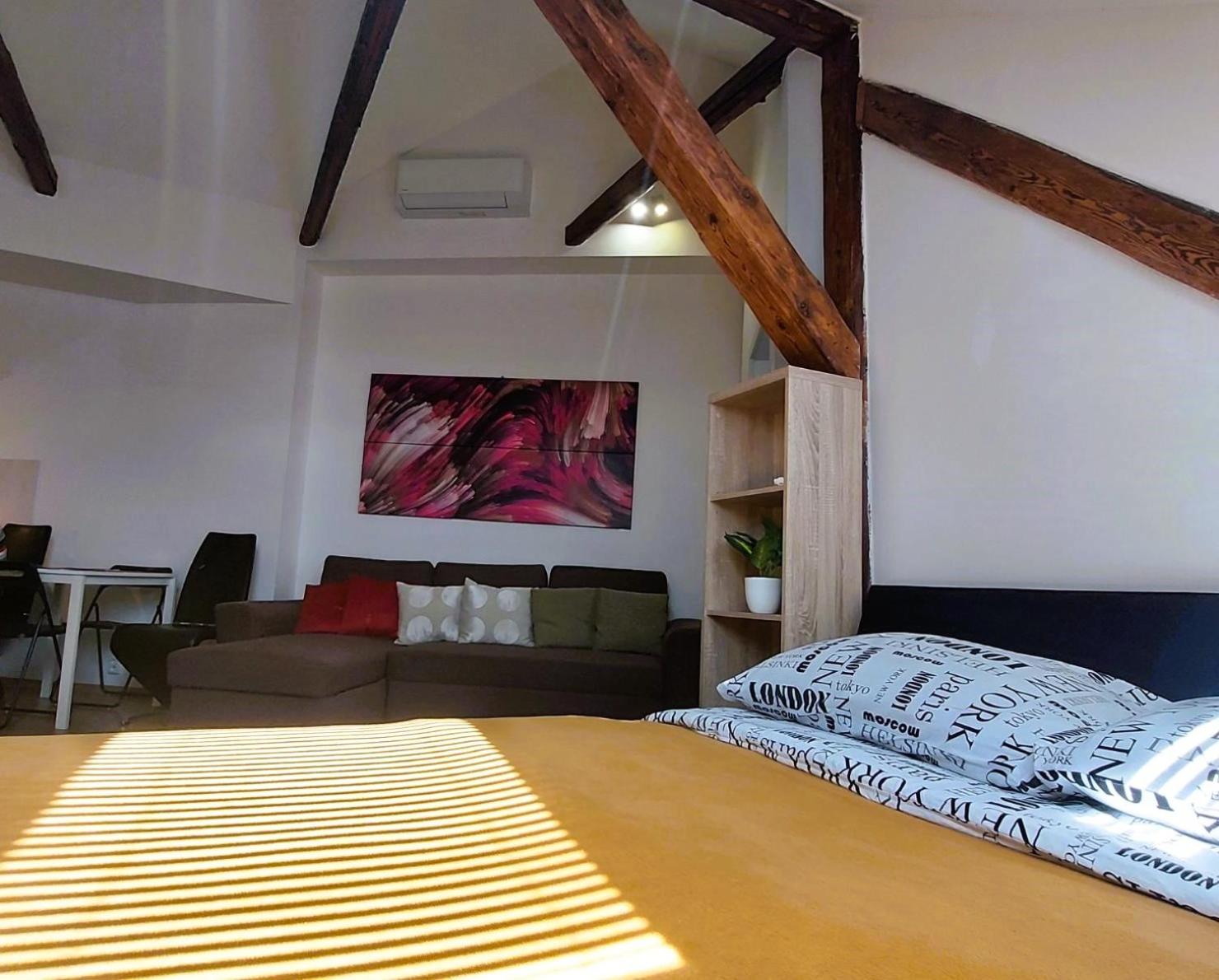 Spacious Historic Attic Loft in City Center 62 m