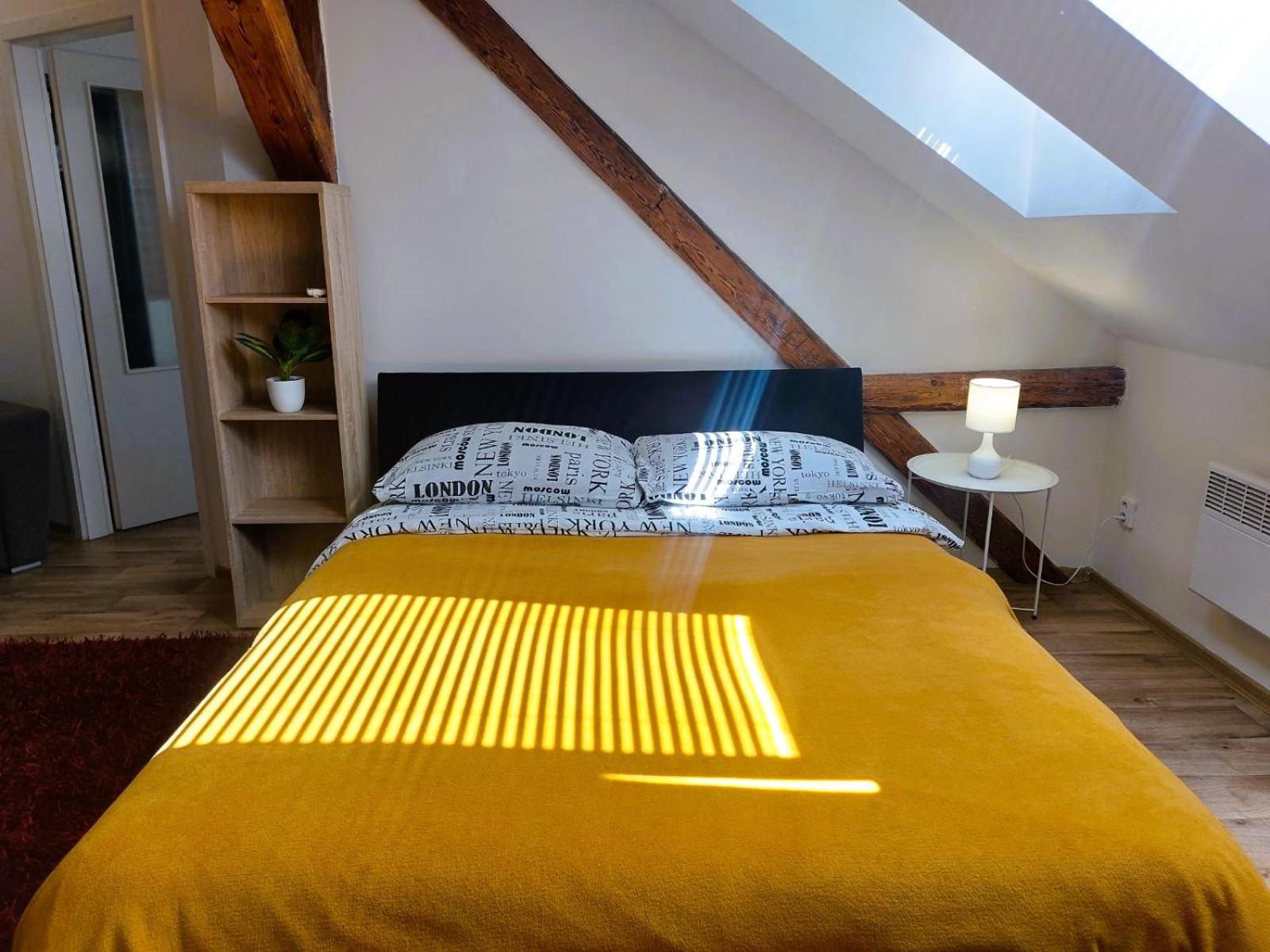Spacious Historic Attic Loft in City Center 62 m