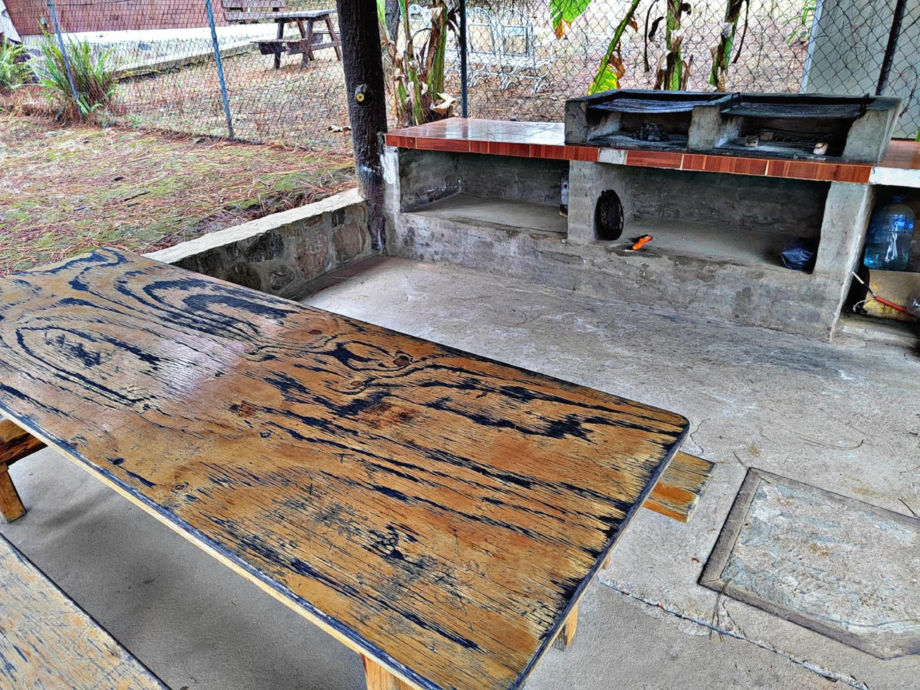 Photo 11