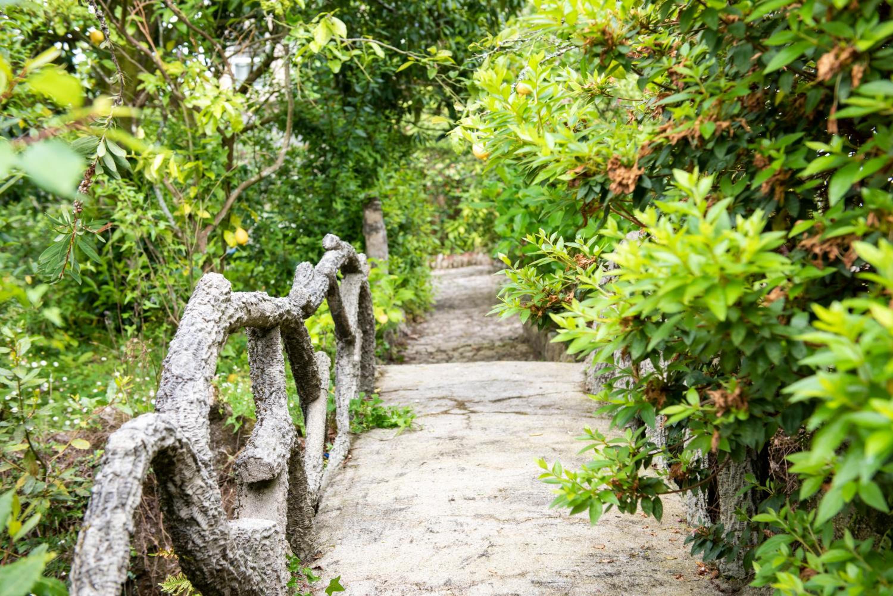 Finca la Chicharra