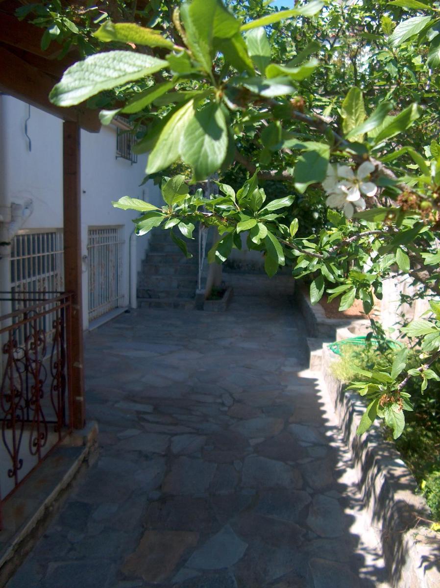 Photo 33