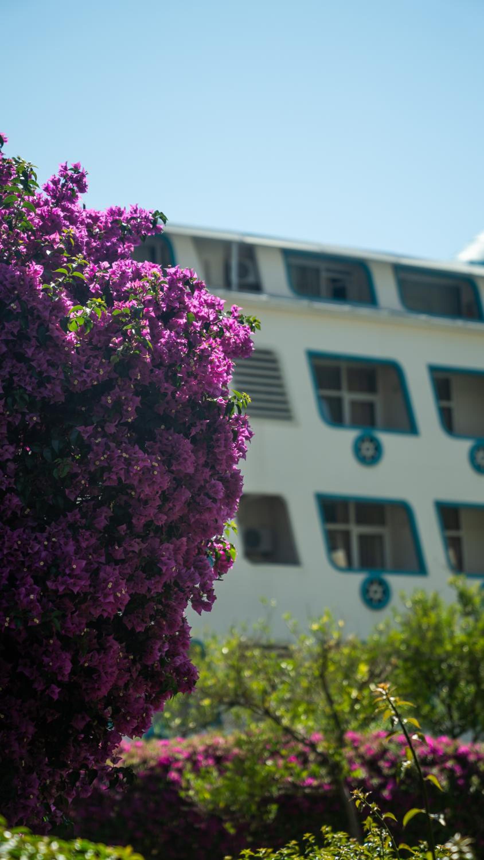 Miarosa Kemer Beach - Image 97