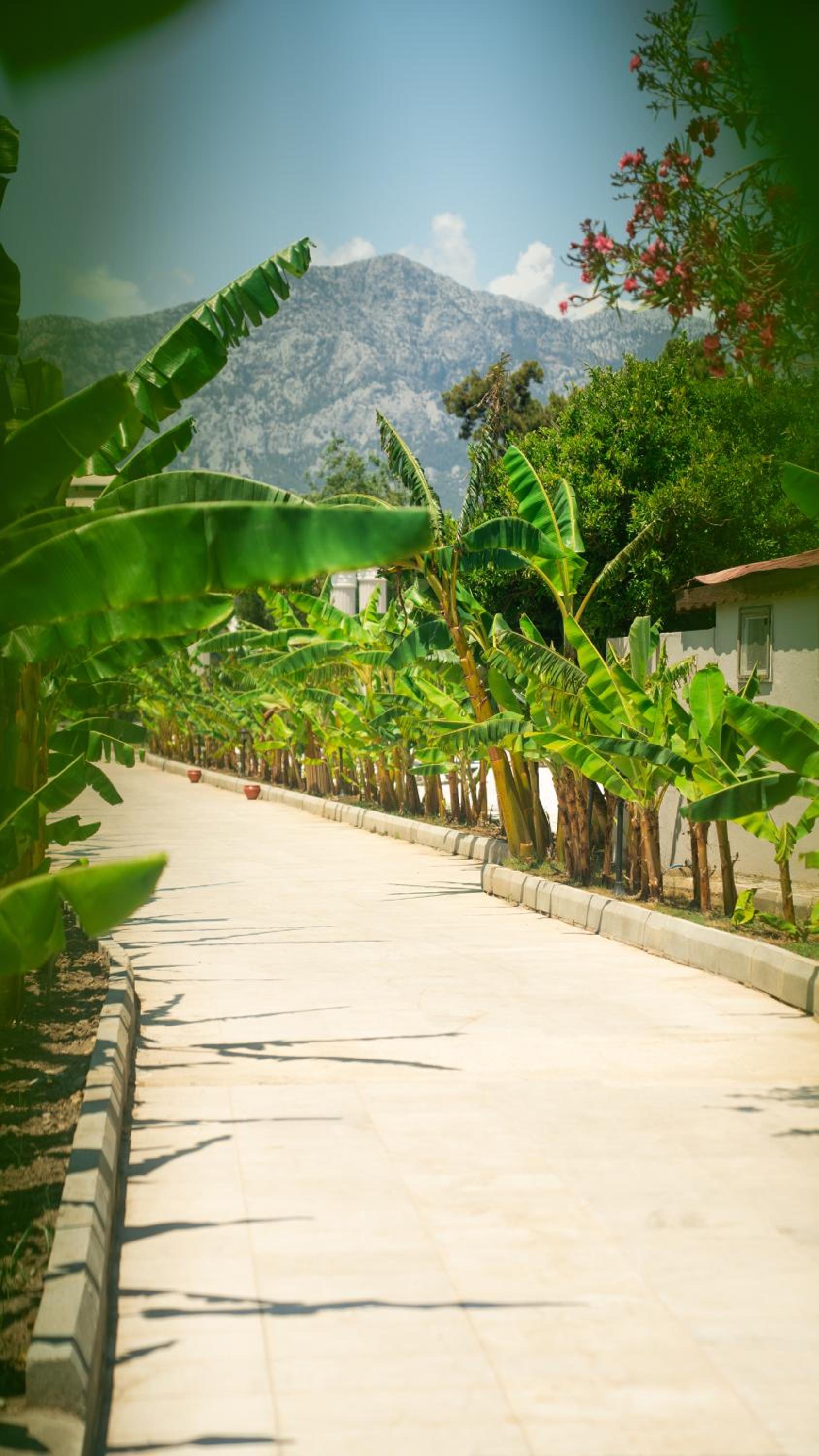Miarosa Kemer Beach - Image 98