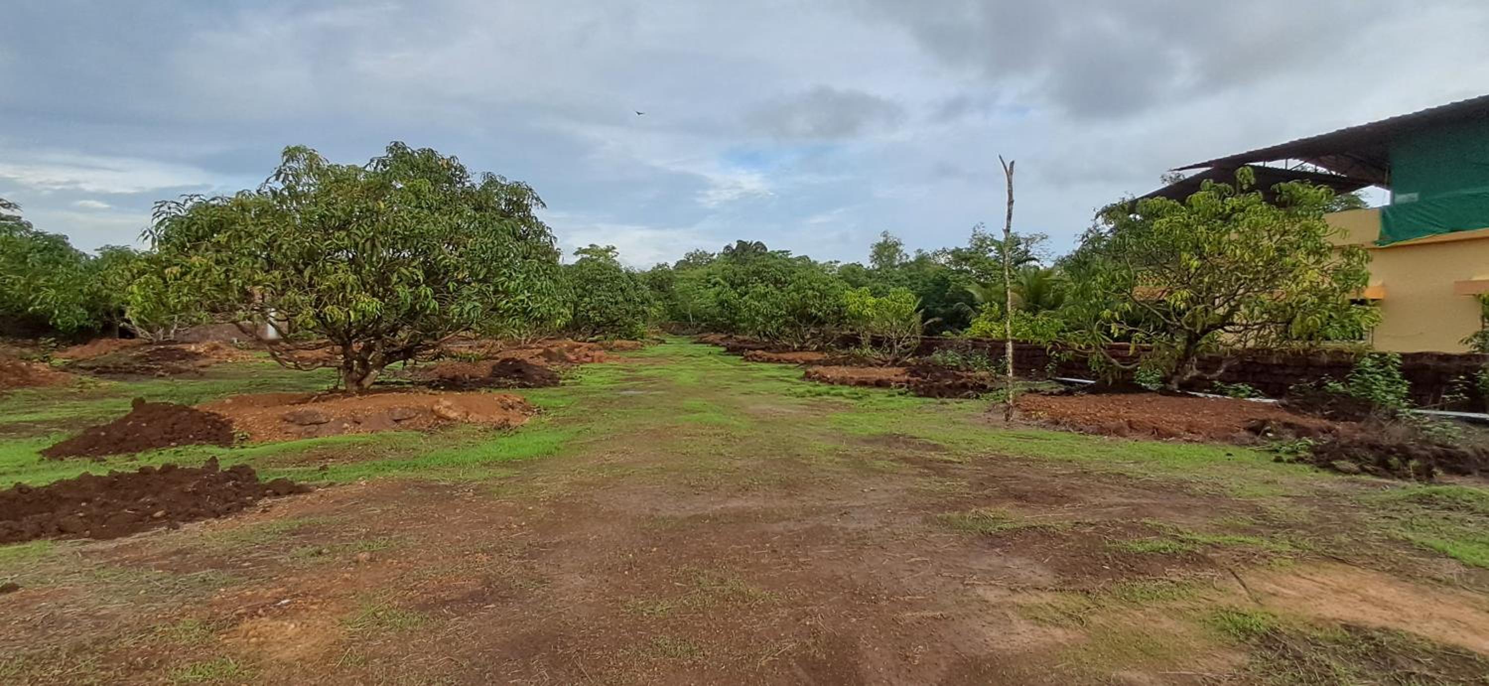 Arpita FarmStay