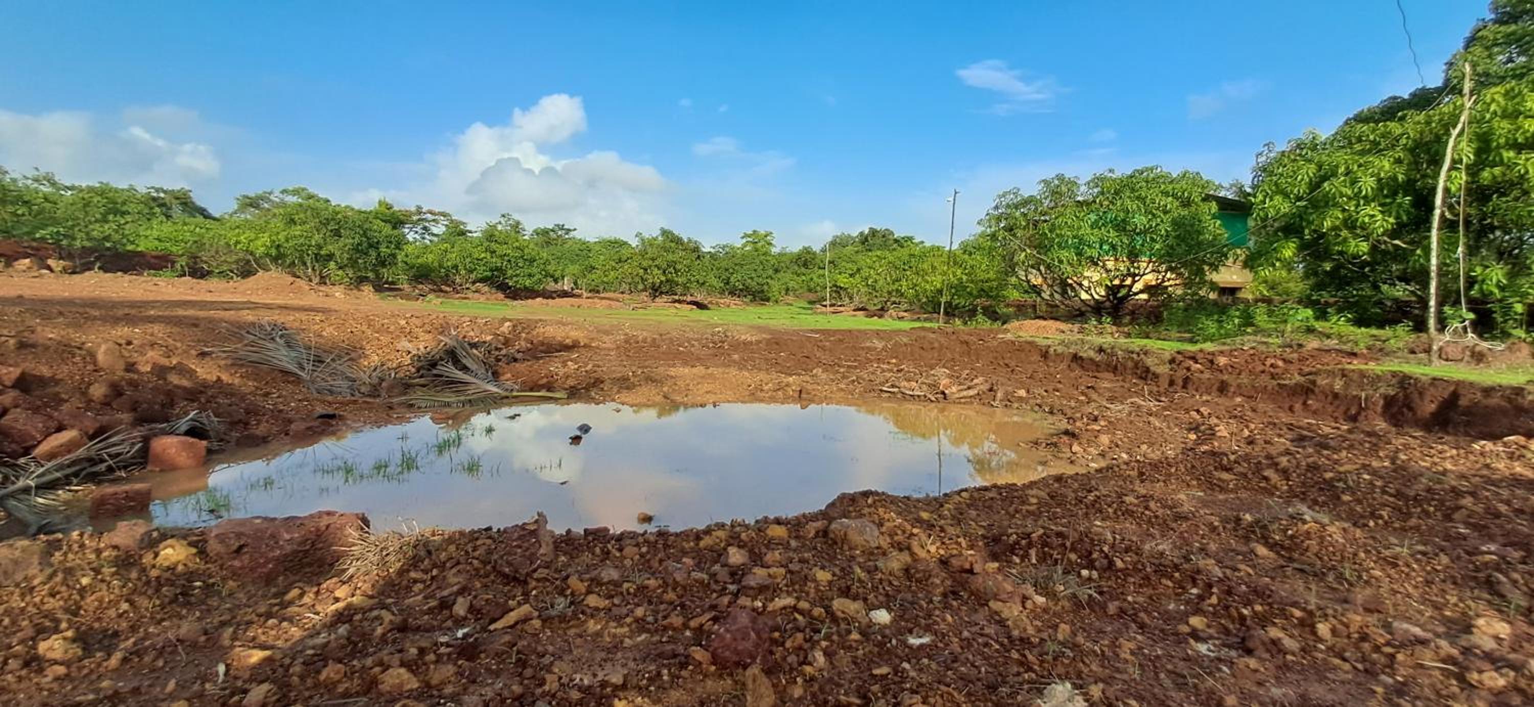 Arpita FarmStay