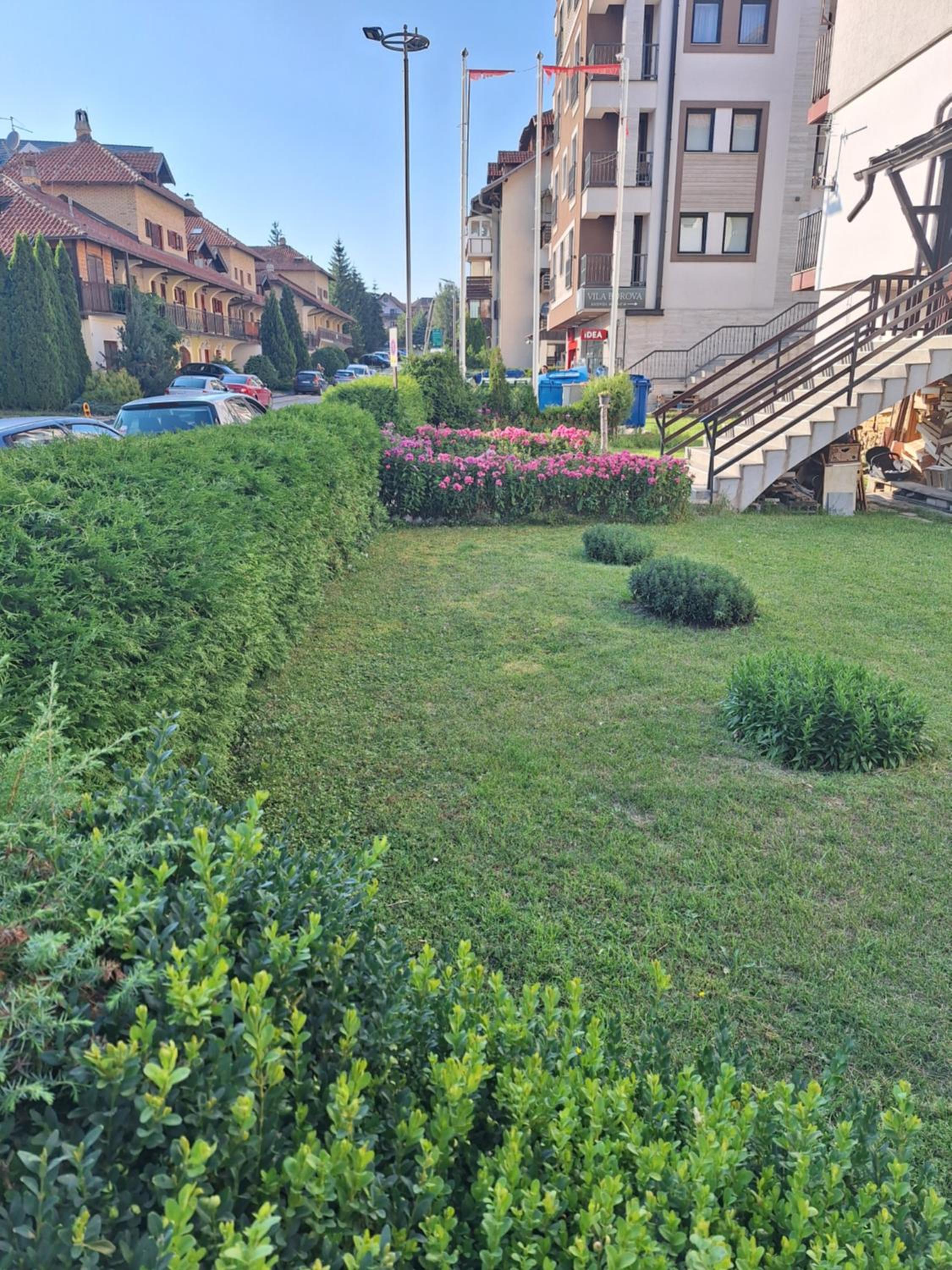 Photo 10