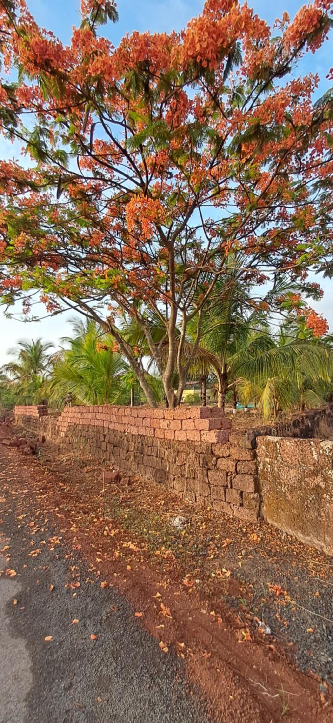 Arpita FarmStay