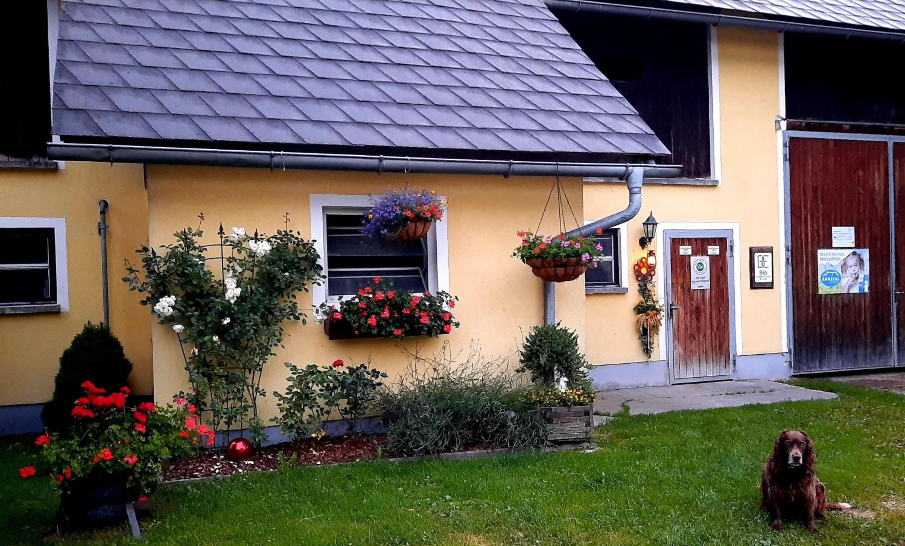 Ferienwohnung 