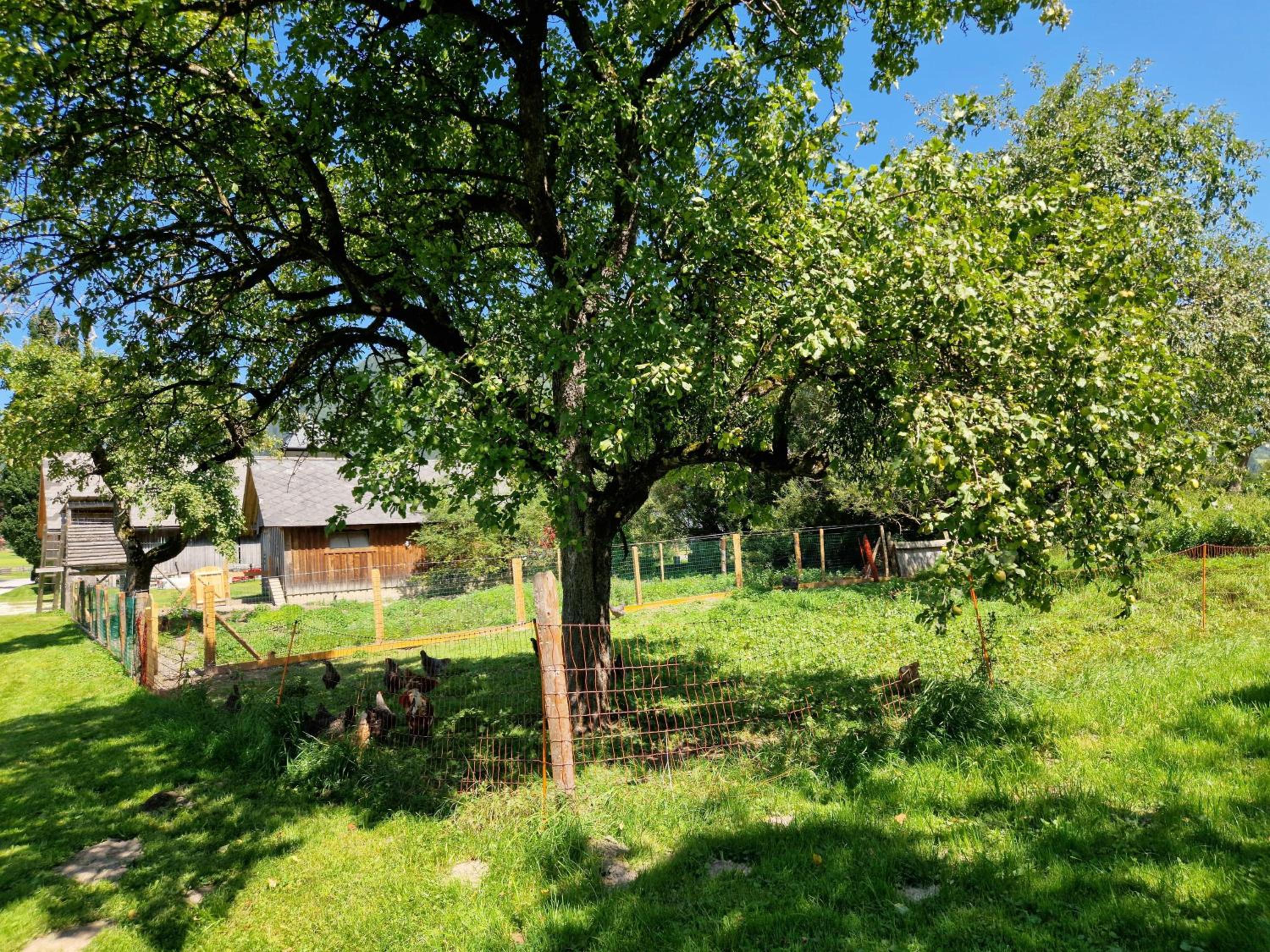 Ferienwohnung 