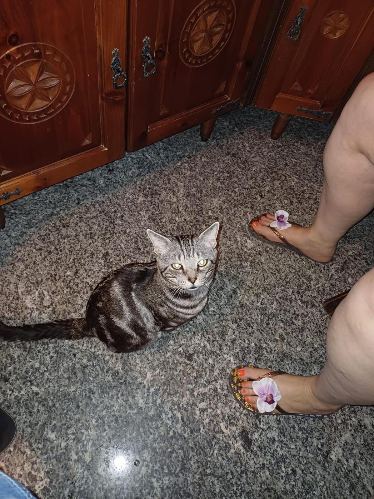 human