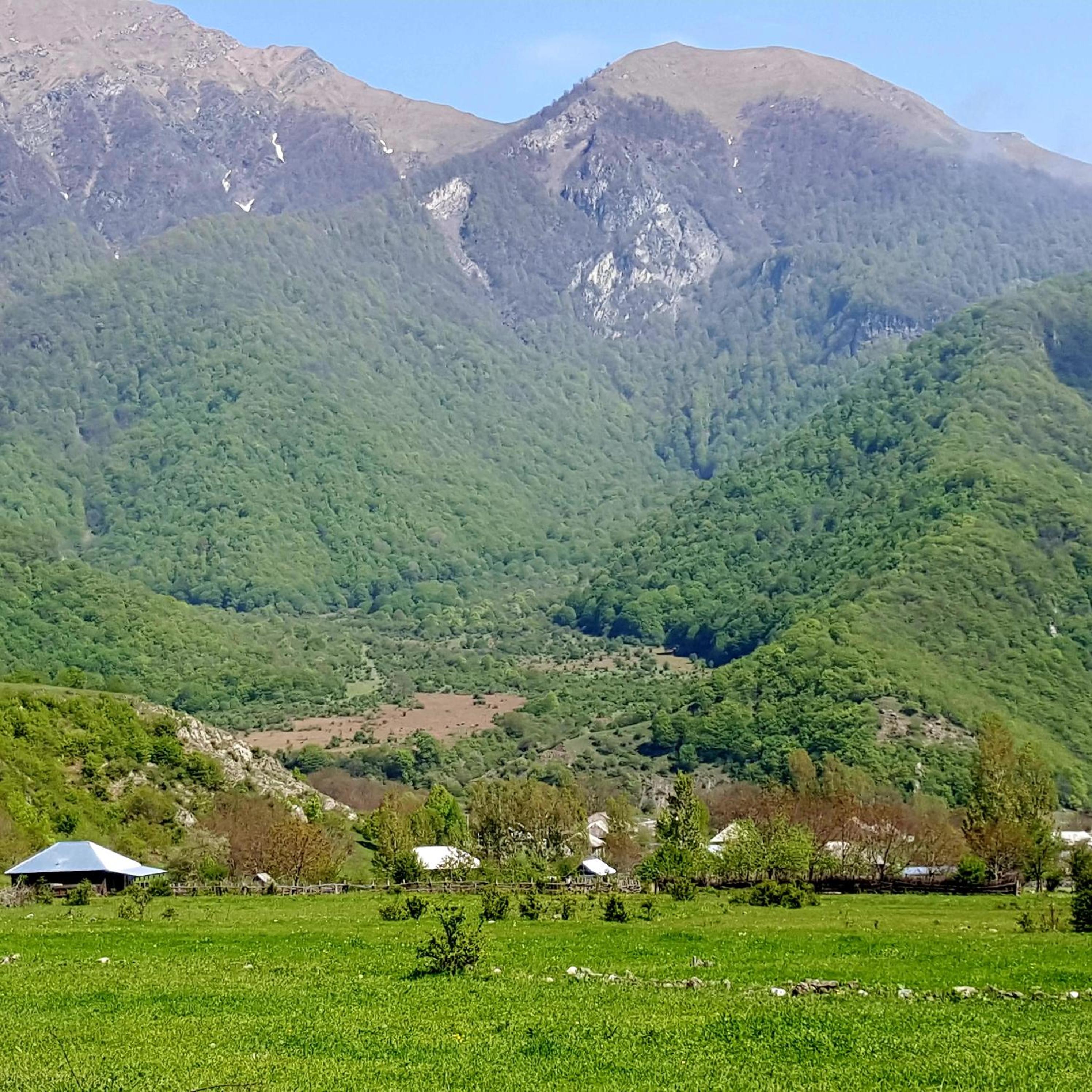 Villa Oğuz Relax