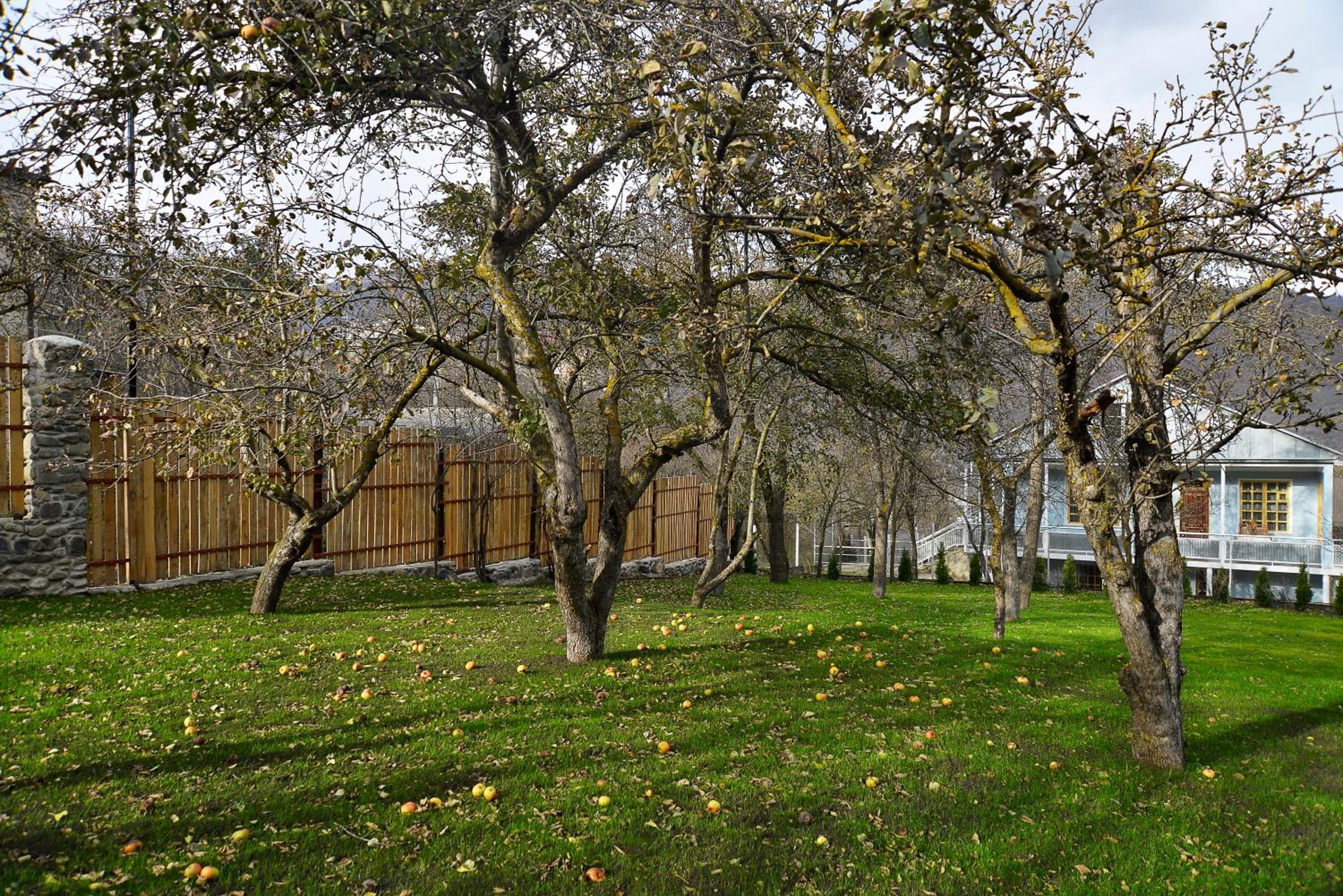 Villa Jrhogher Dilijan