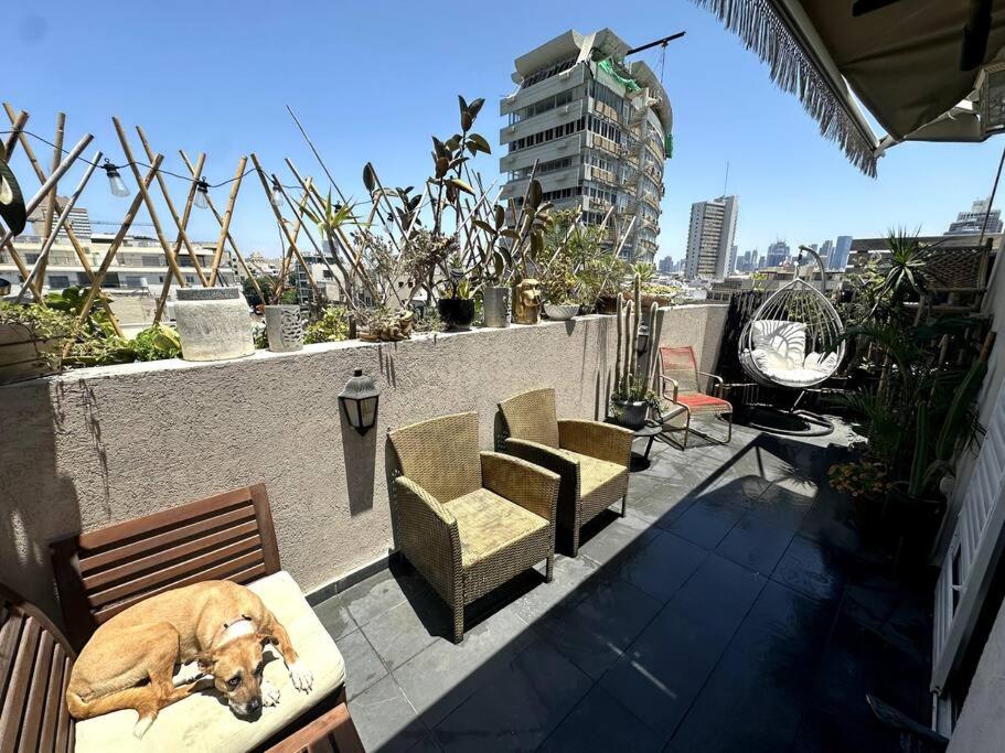 Penthouse and Versace