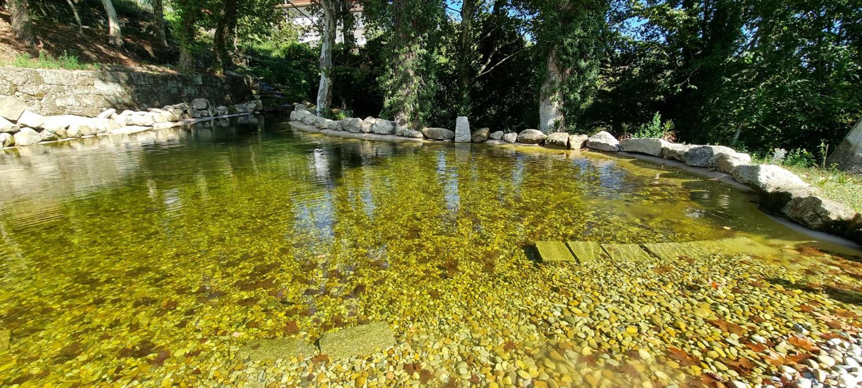 TAMACA nature