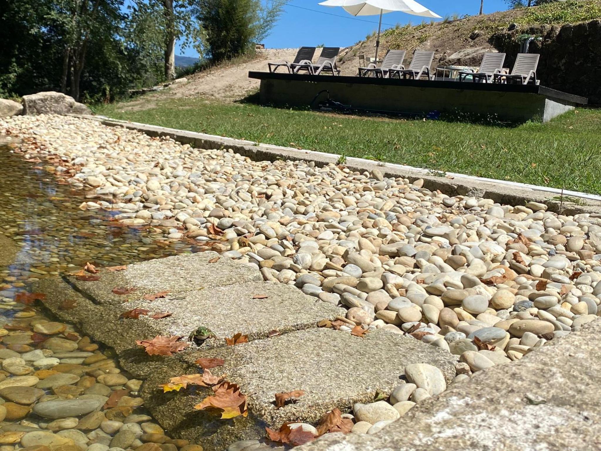 TAMACA nature