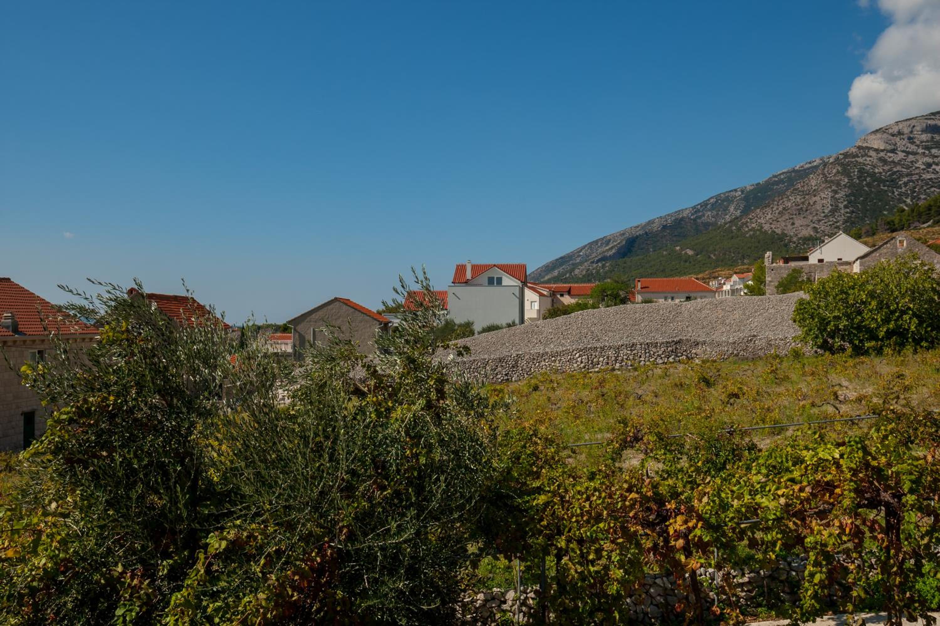 Villa Livia Apartments