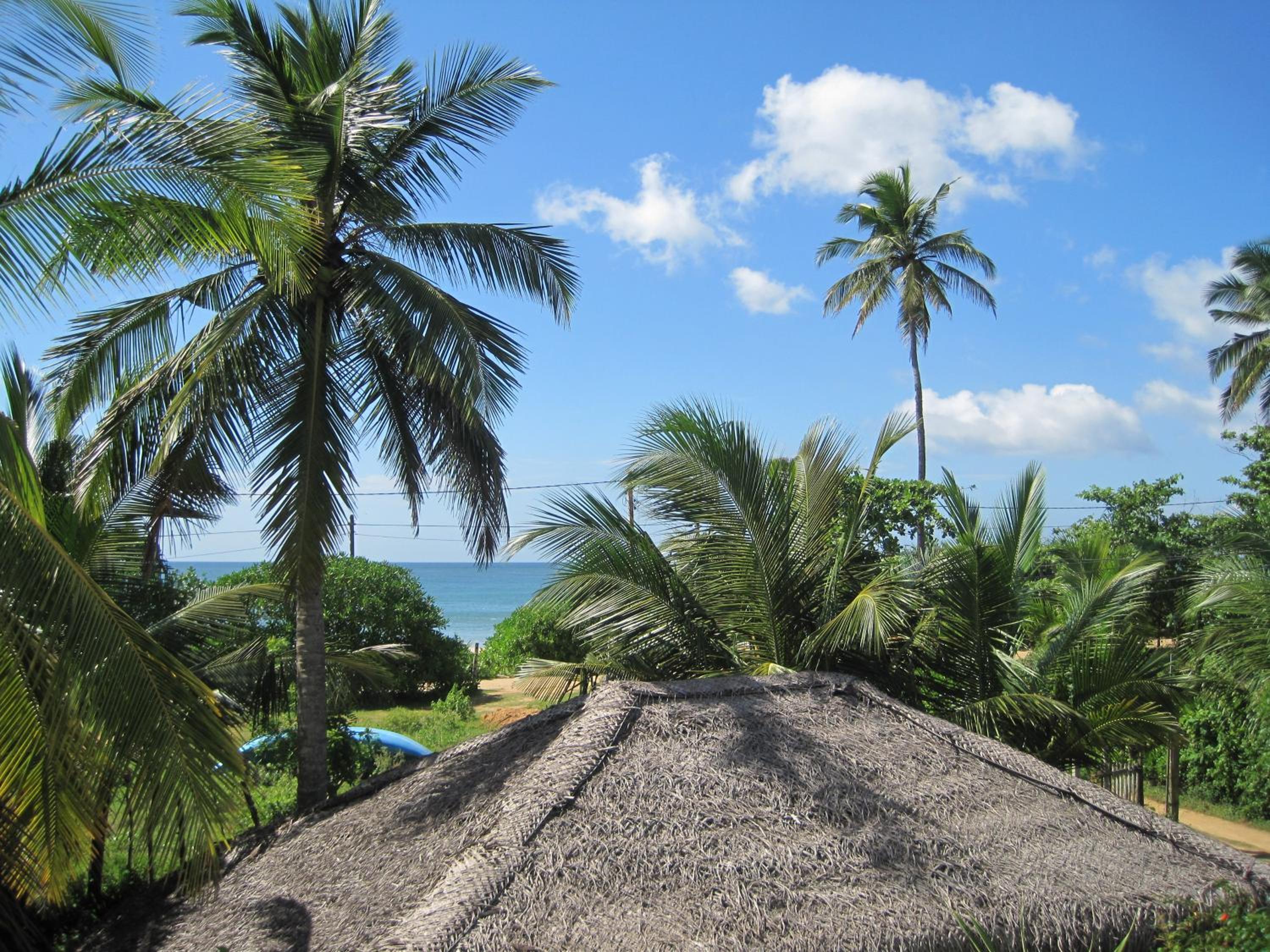 Beach Lagoon Guesthouse