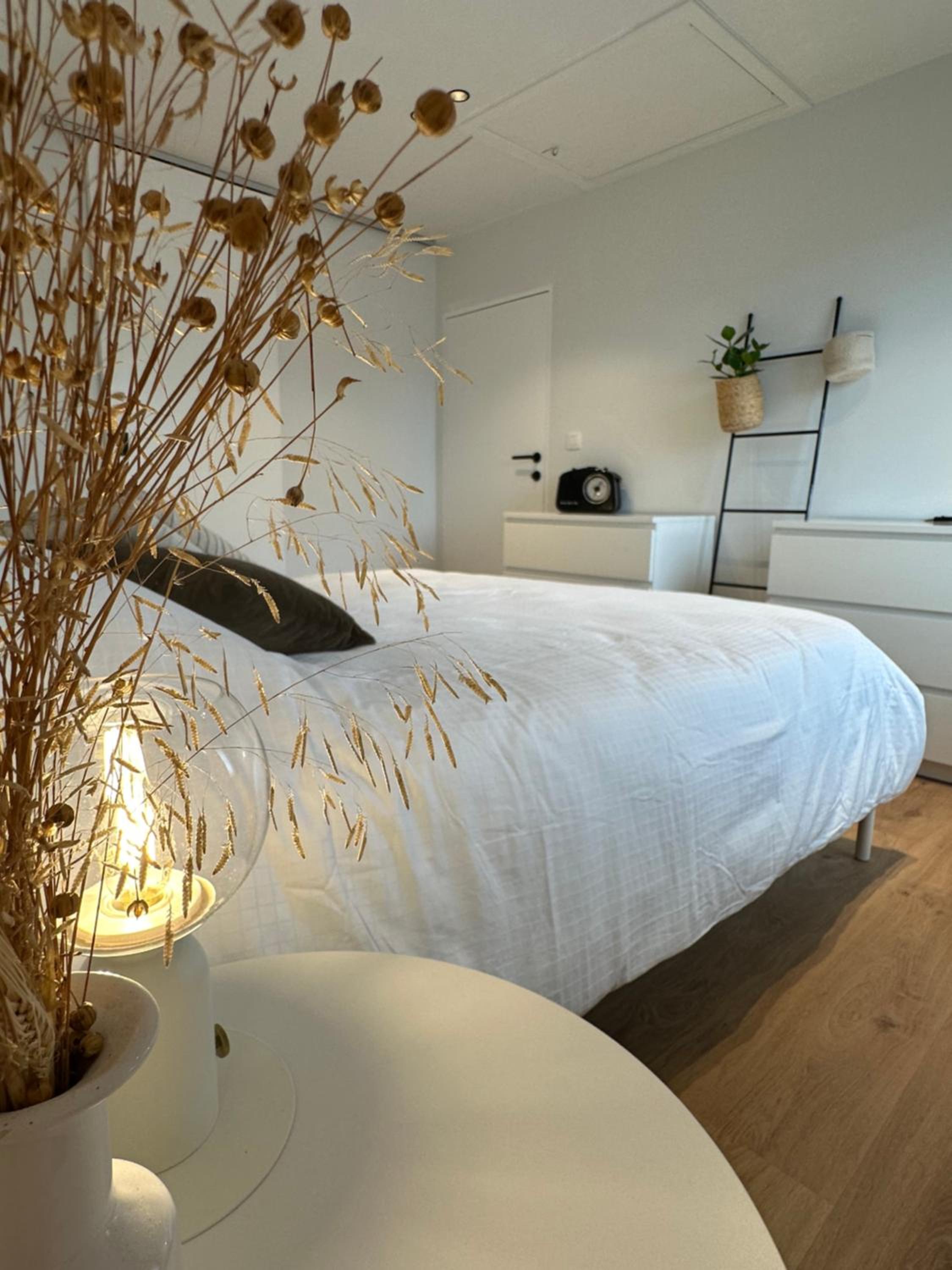 Maison sur Mer - Oostduinkerke