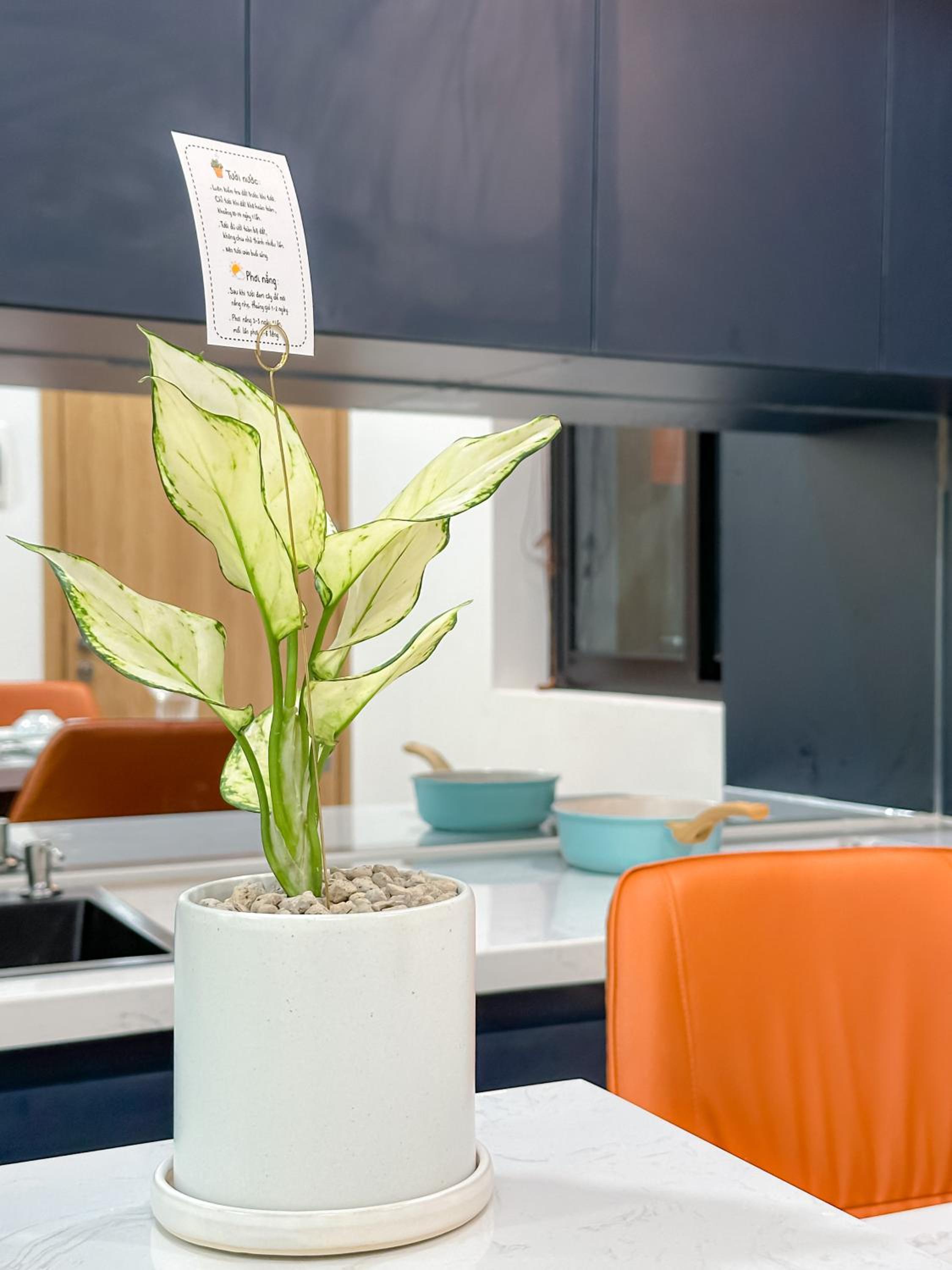 Unite Boutique Apartment Sai Gon - Near Airport