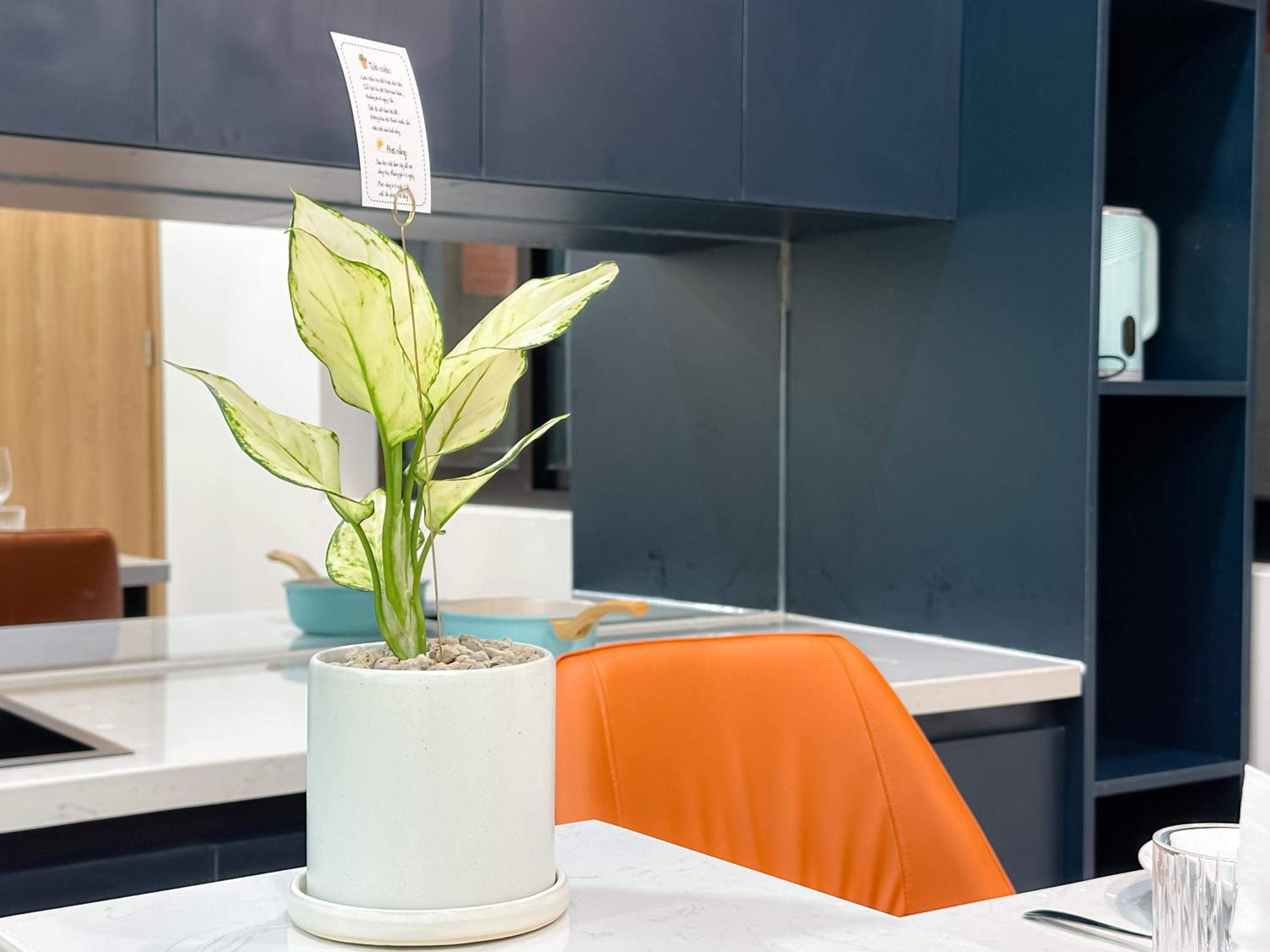 Unite Boutique Apartment Sai Gon - Near Airport
