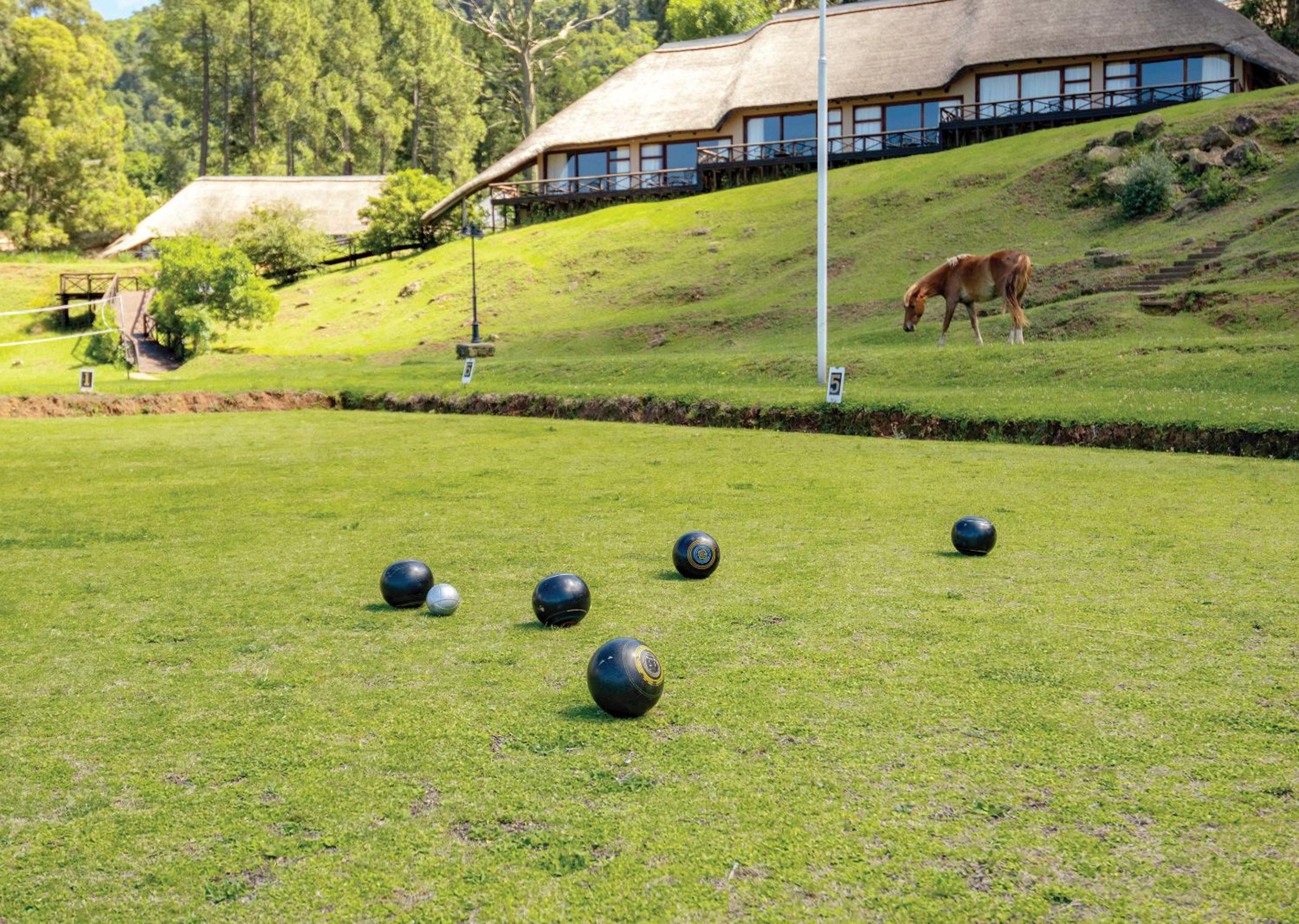activities & amenities