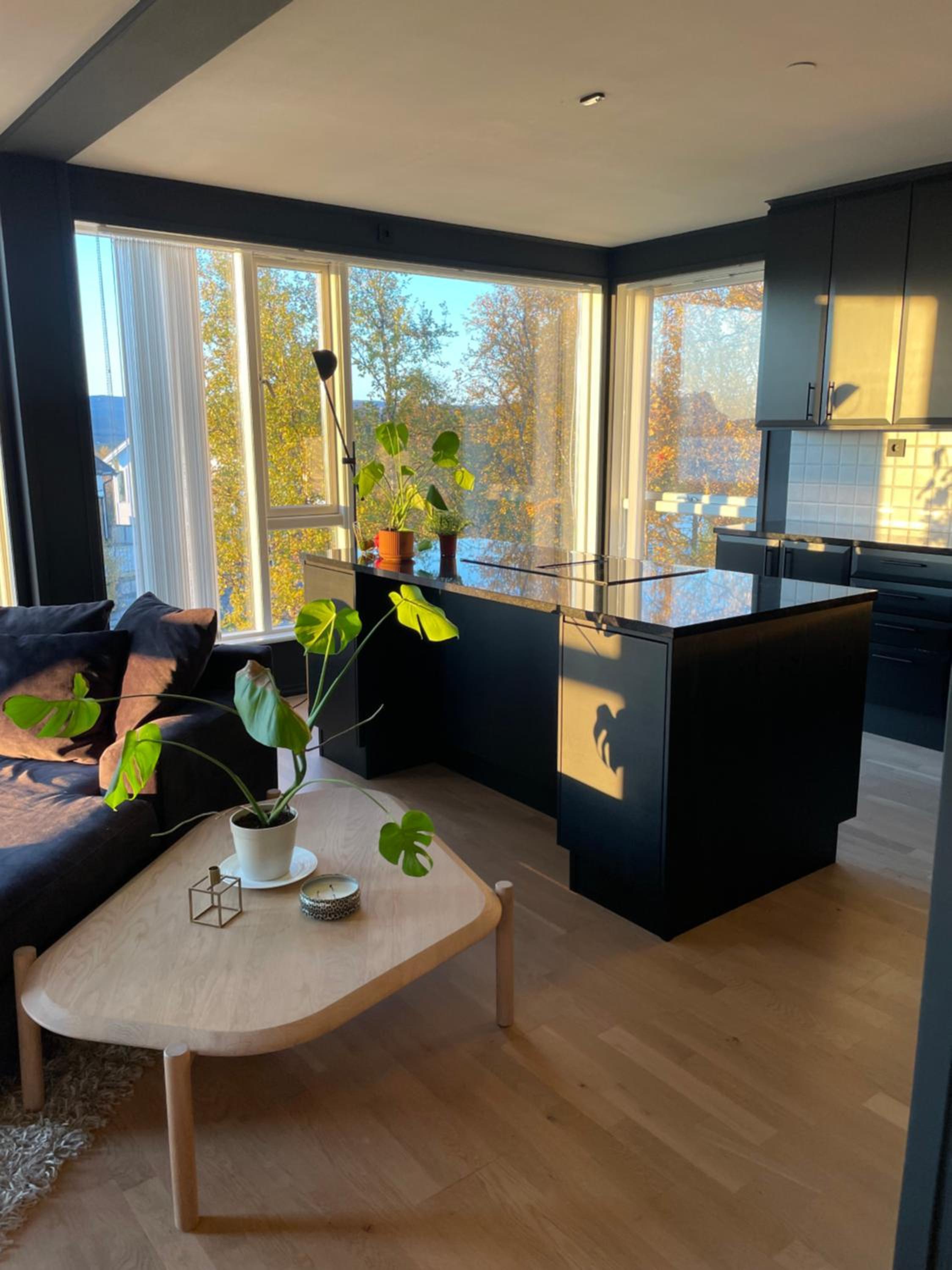 Modern apartment close to everything! view 5