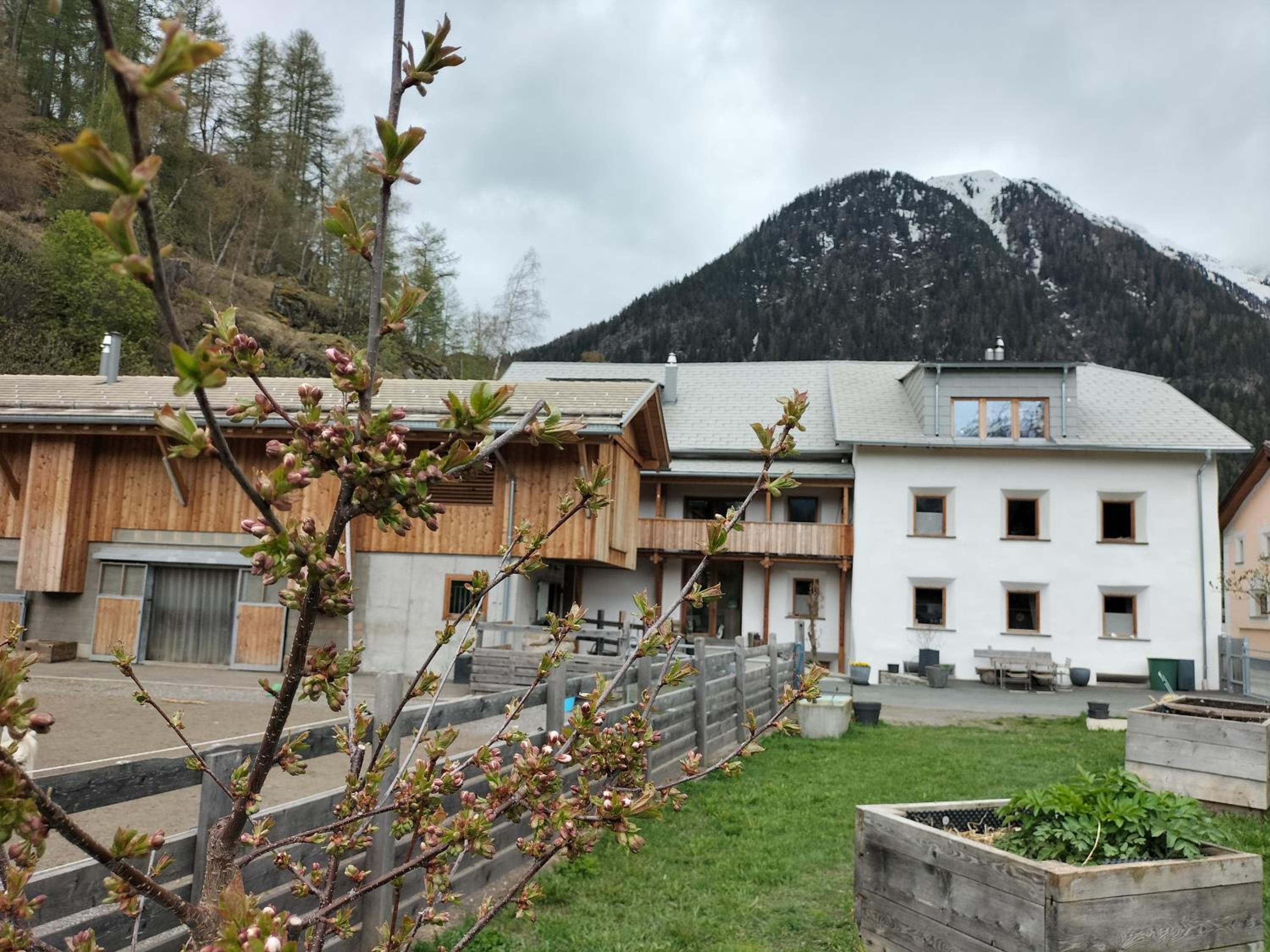 B&B im Ökohof in Susch