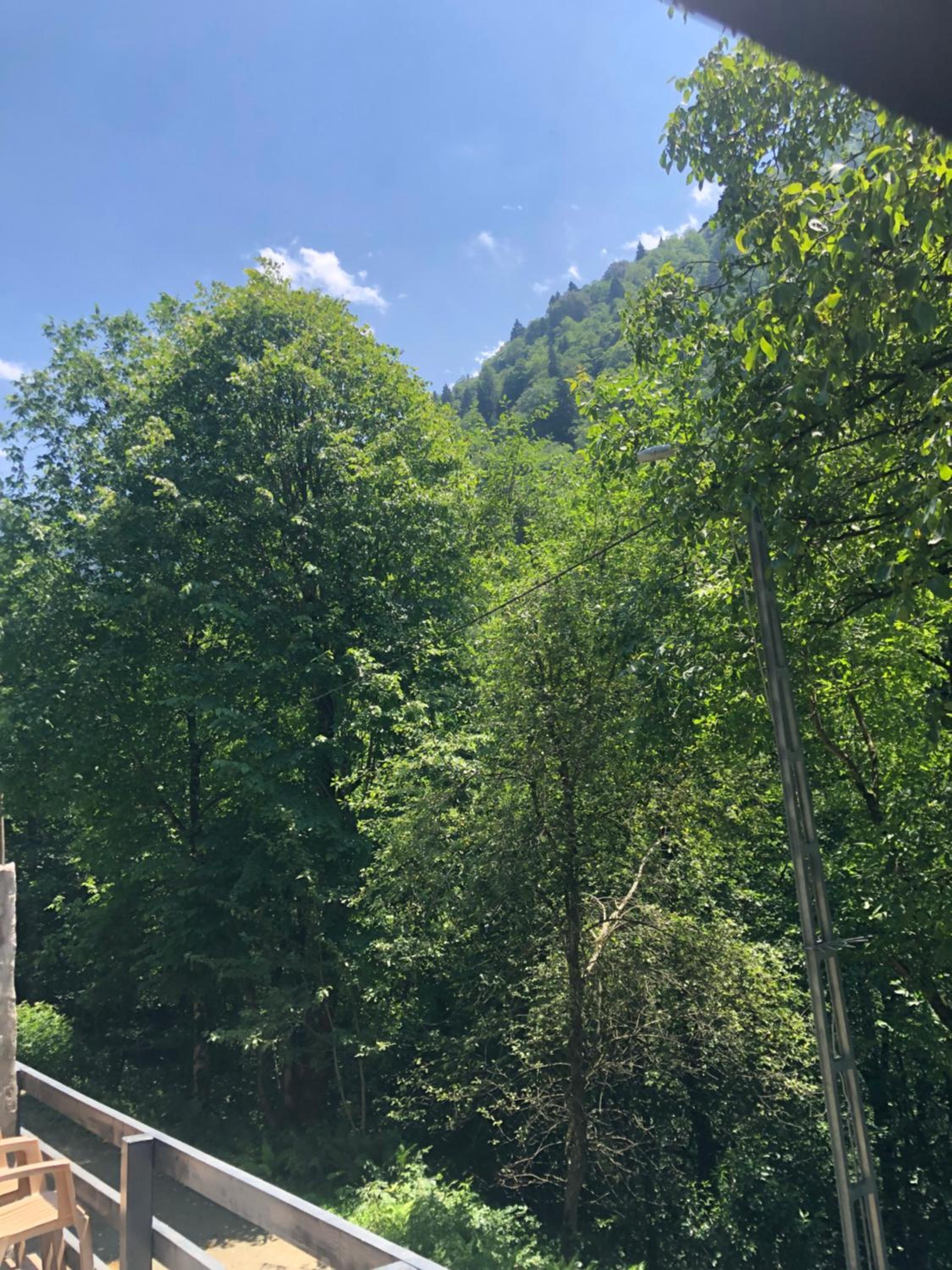 Ayder Çalıkuşu Bungalov