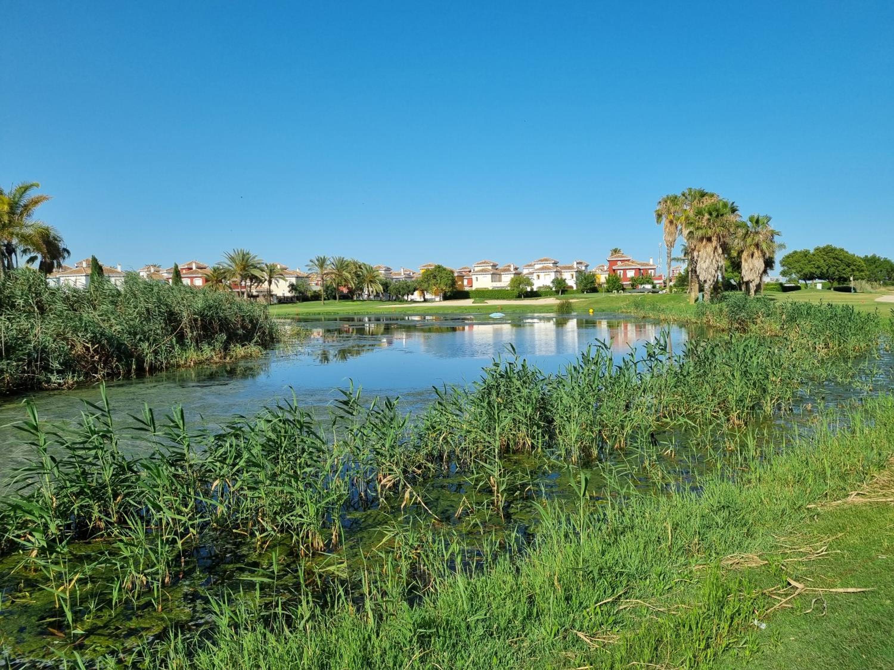 Piso Verano Mar Menor Golf Resort 84 view 4