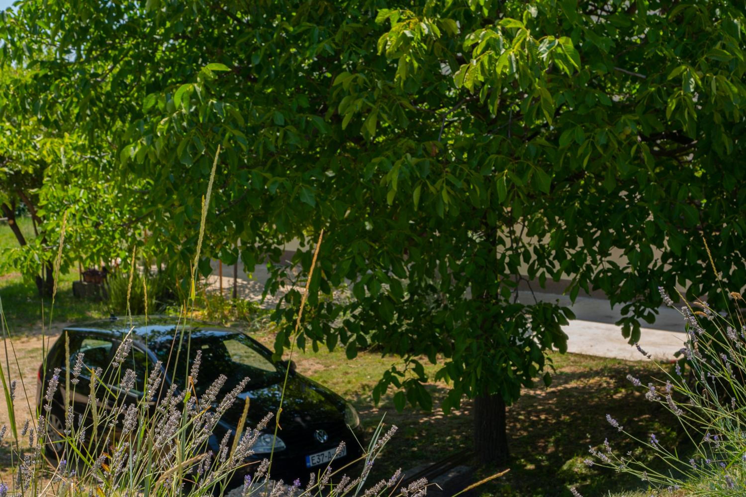 Apartman Mijanovic