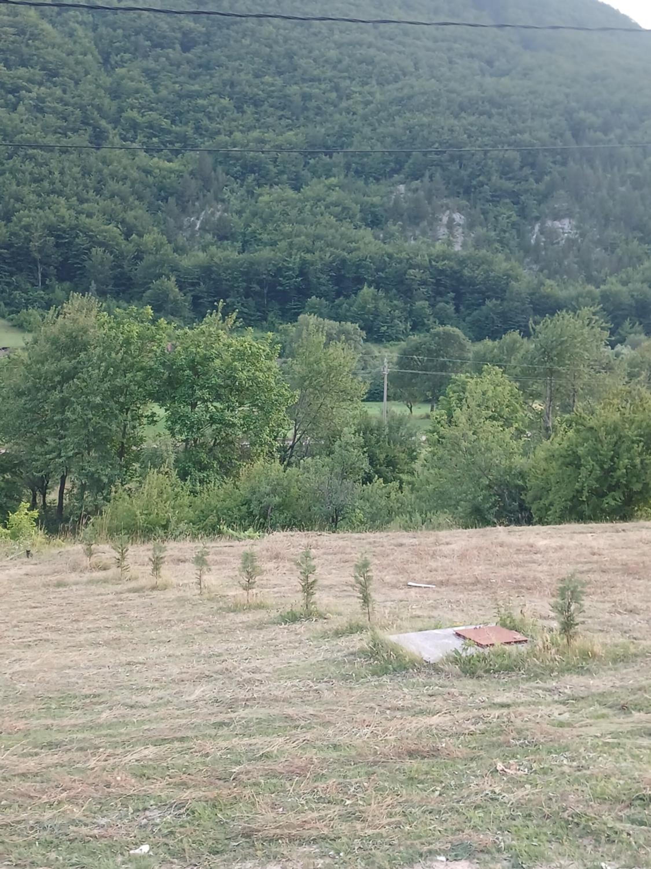 Photo 35