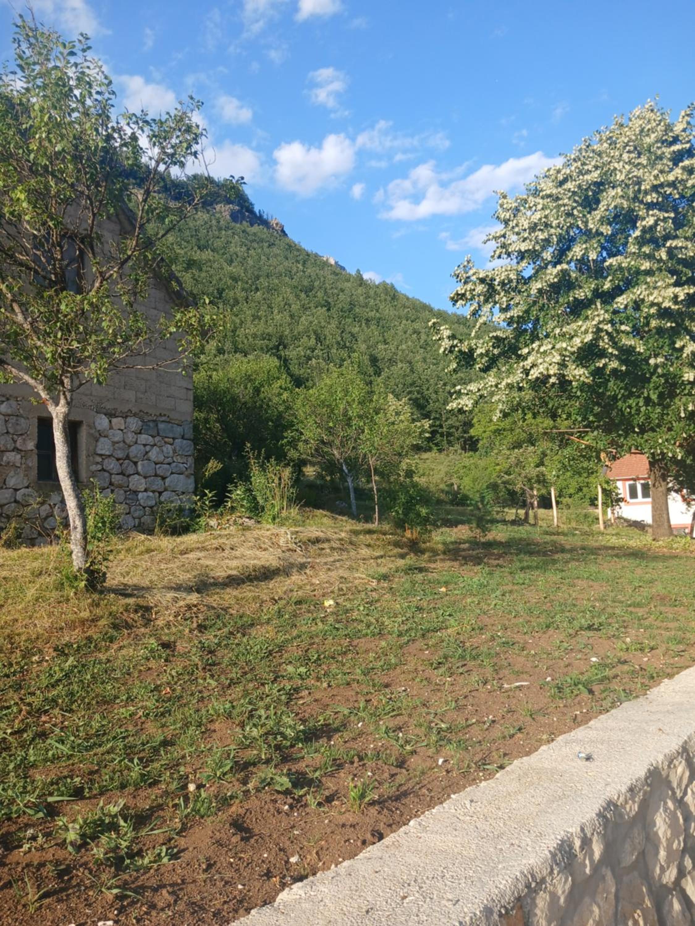 Photo 27